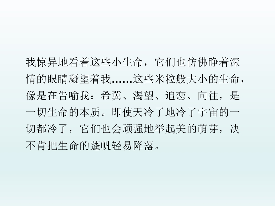 48.jpg