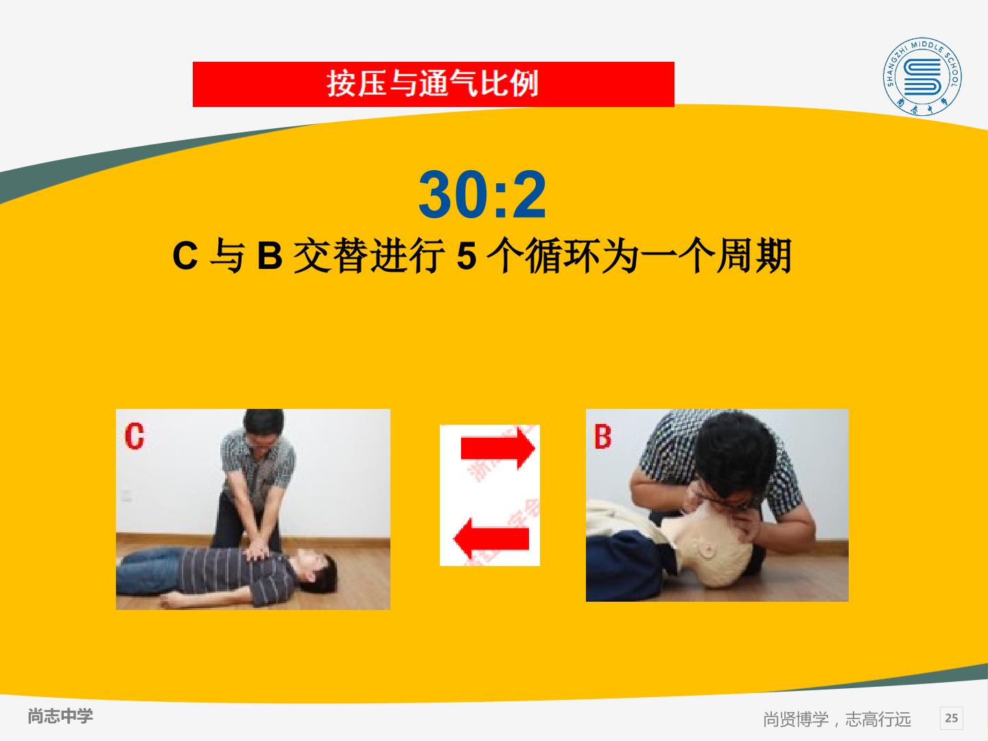 25.jpg