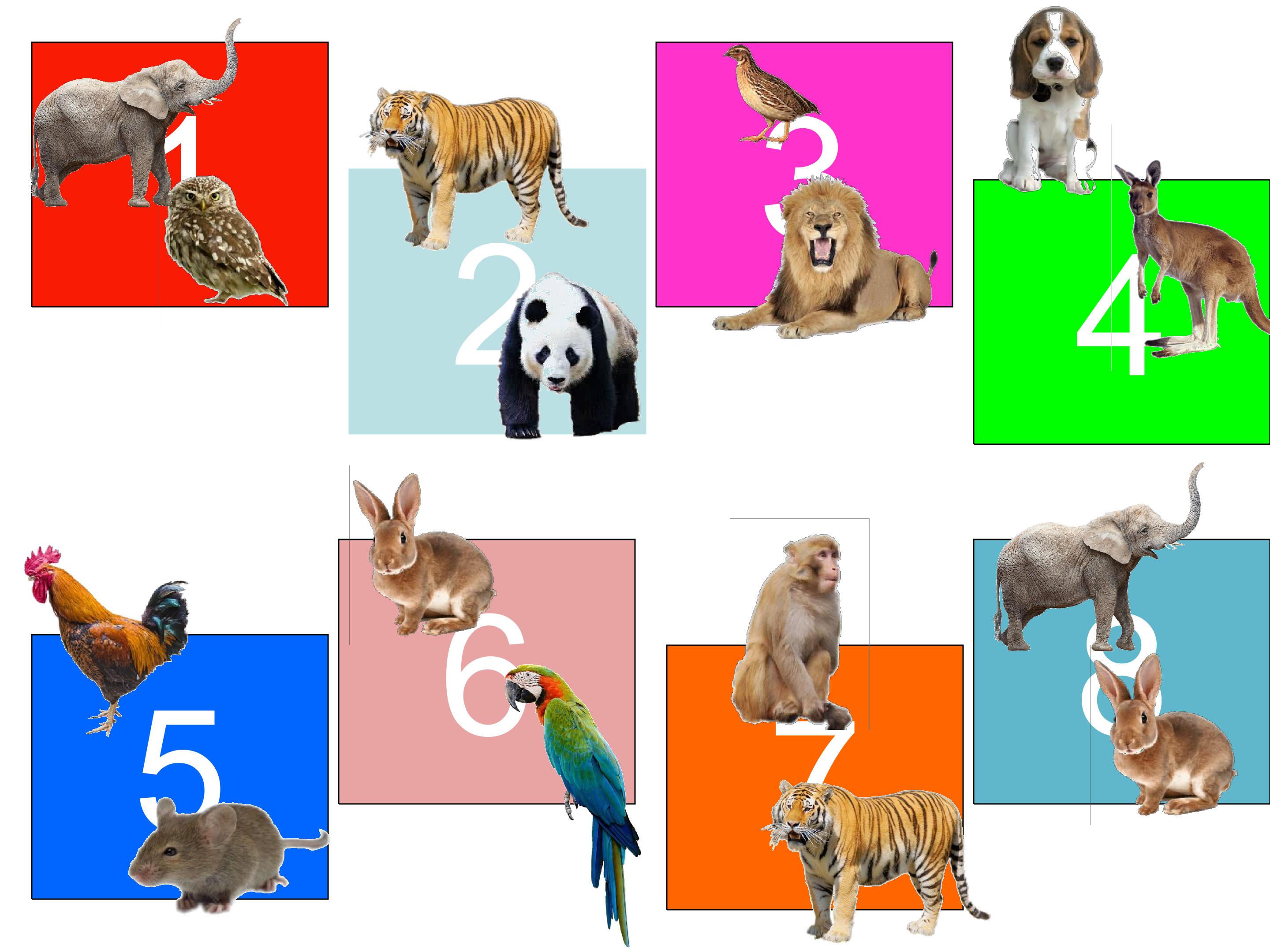 41.jpg