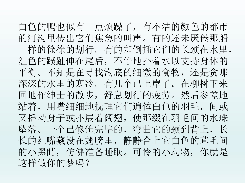 43.jpg