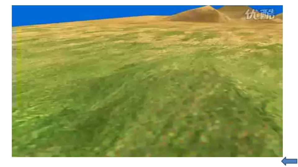 24.jpg