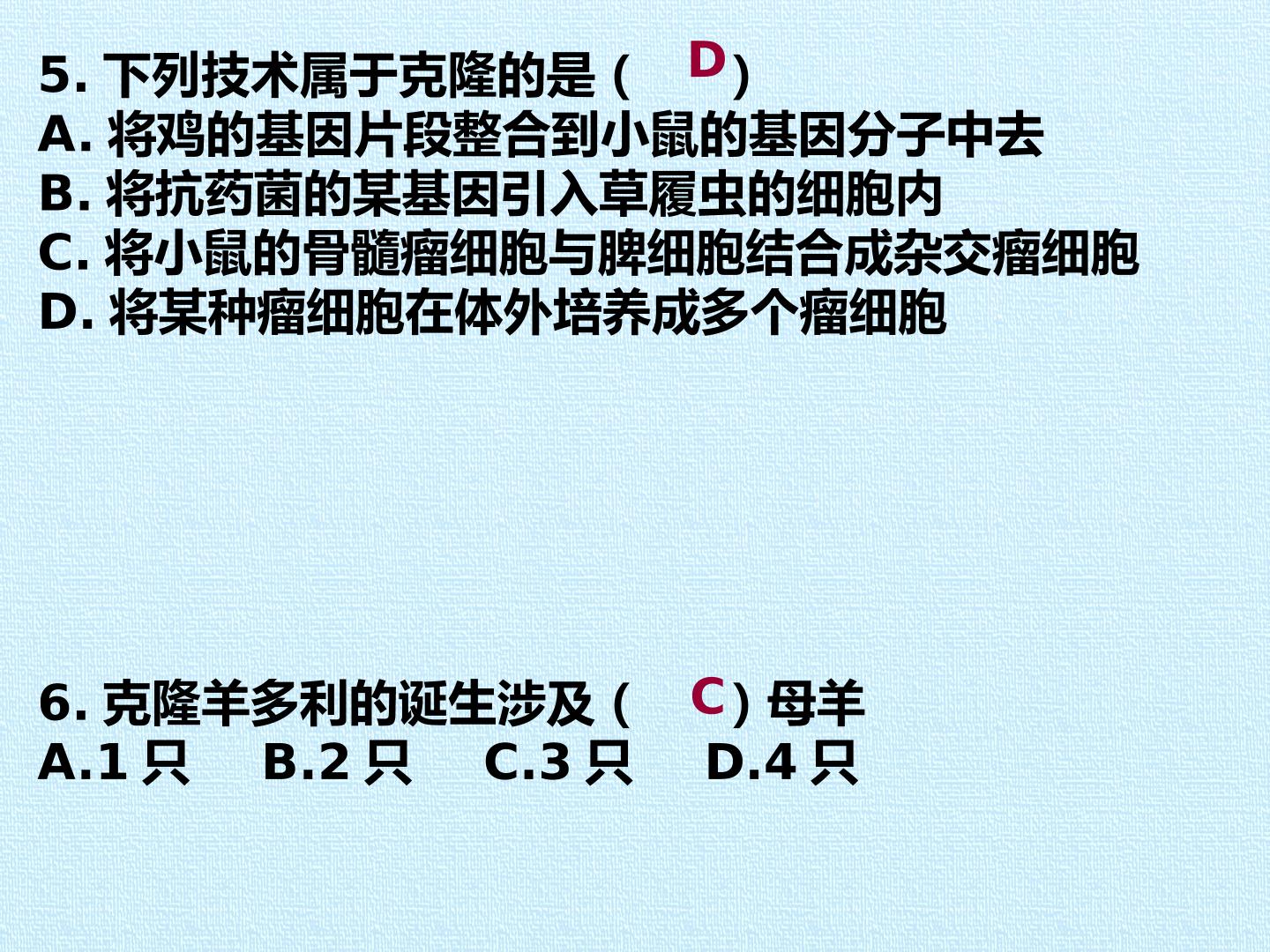 55.jpg
