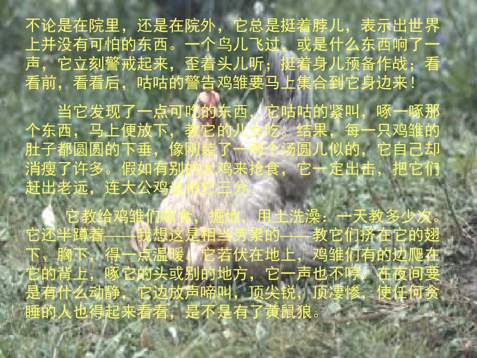 24.jpg