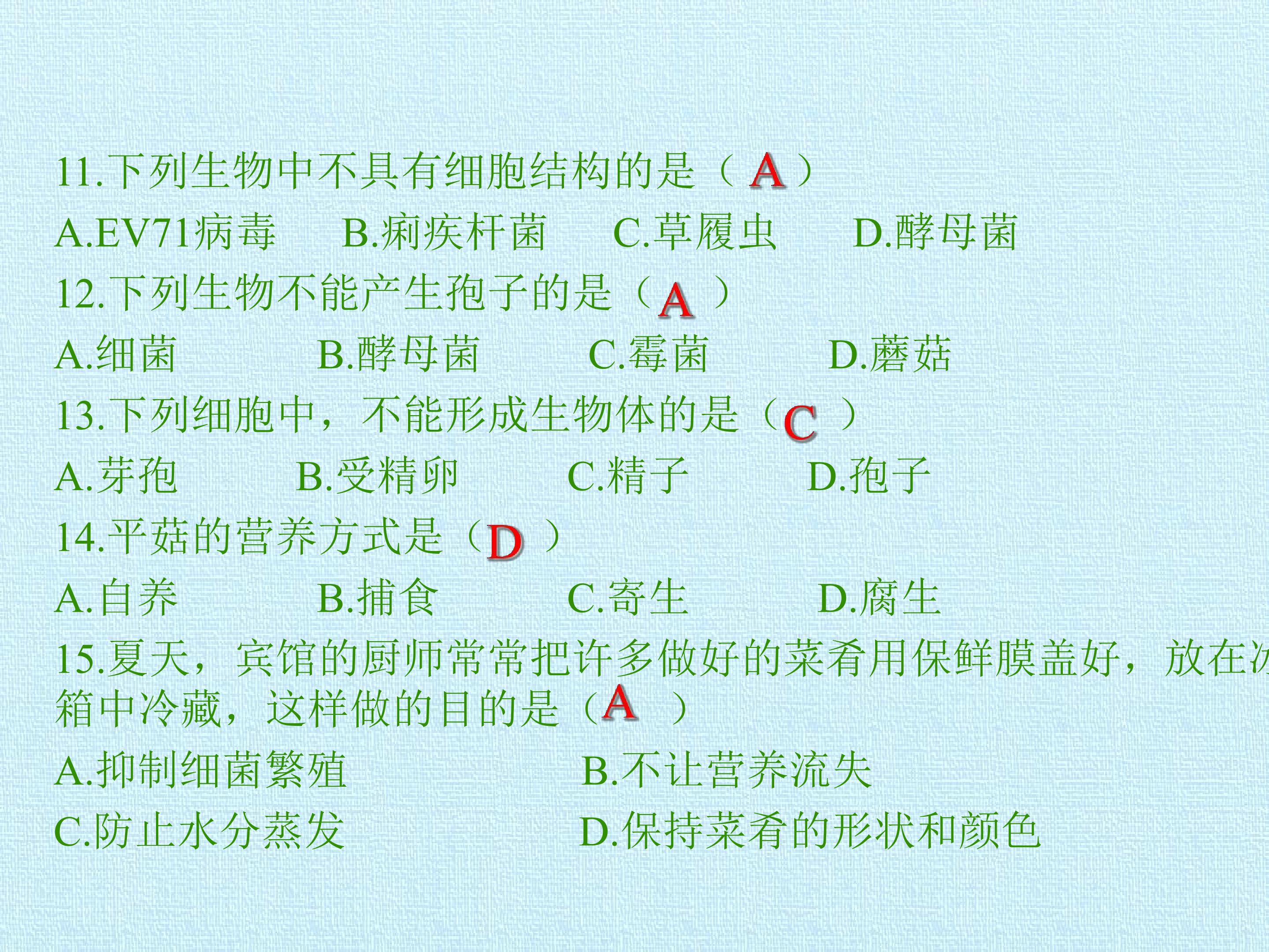 17.jpg