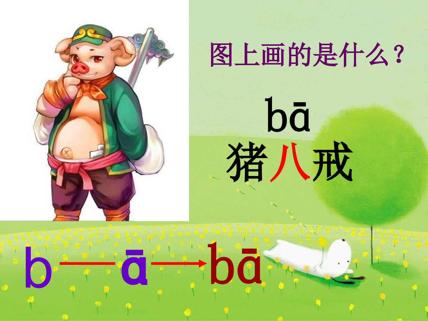 24.jpg