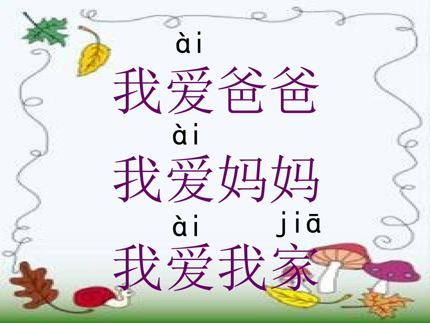 41.jpg