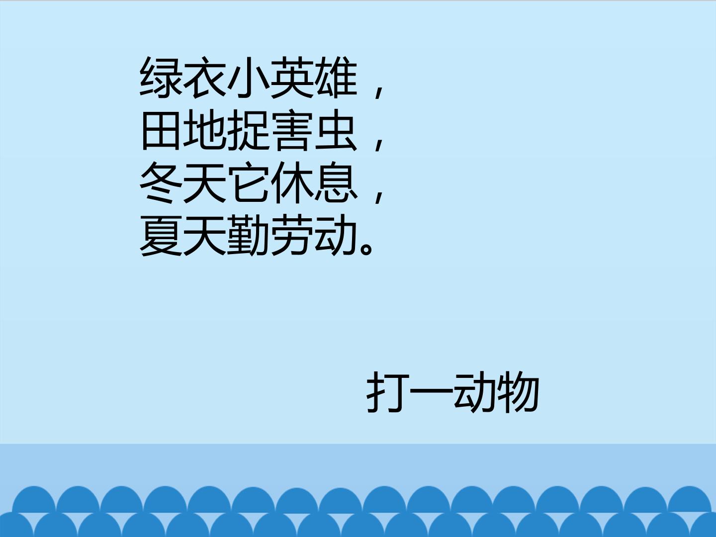16.jpg