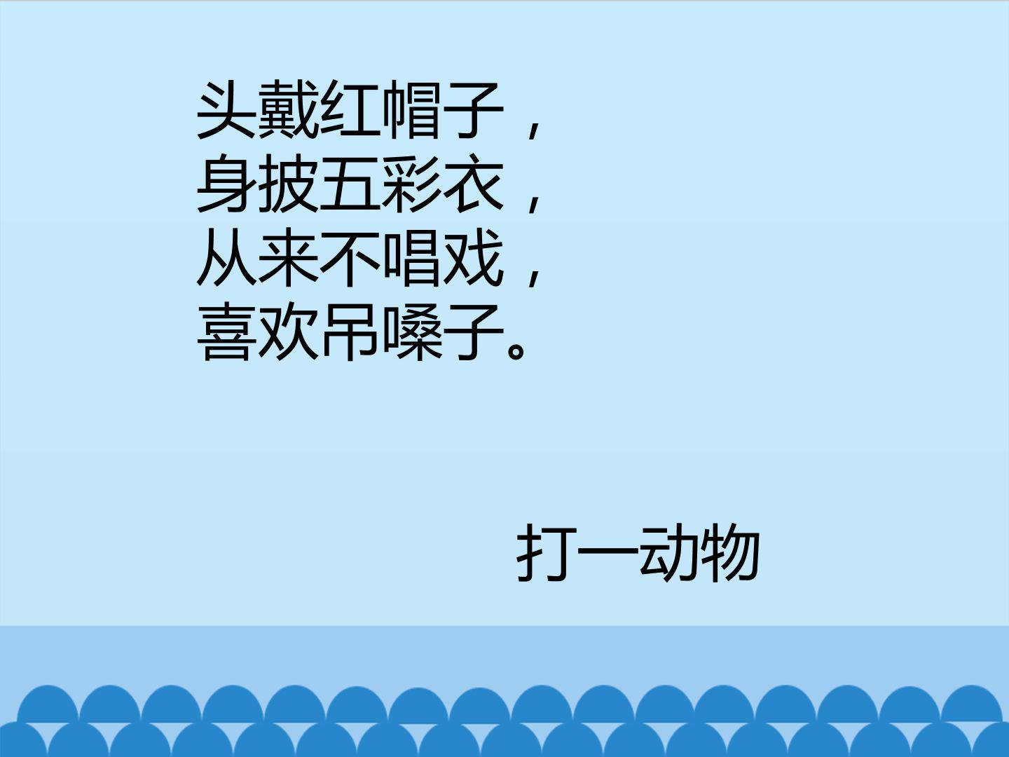 17.jpg