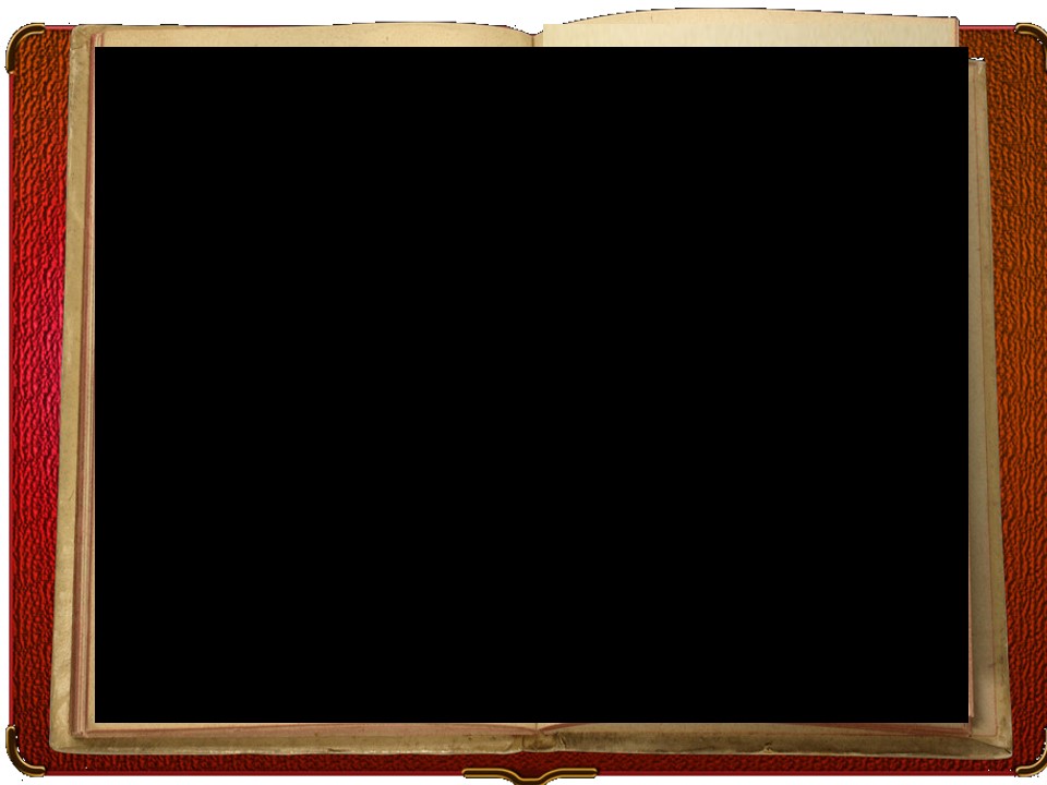 16.jpg