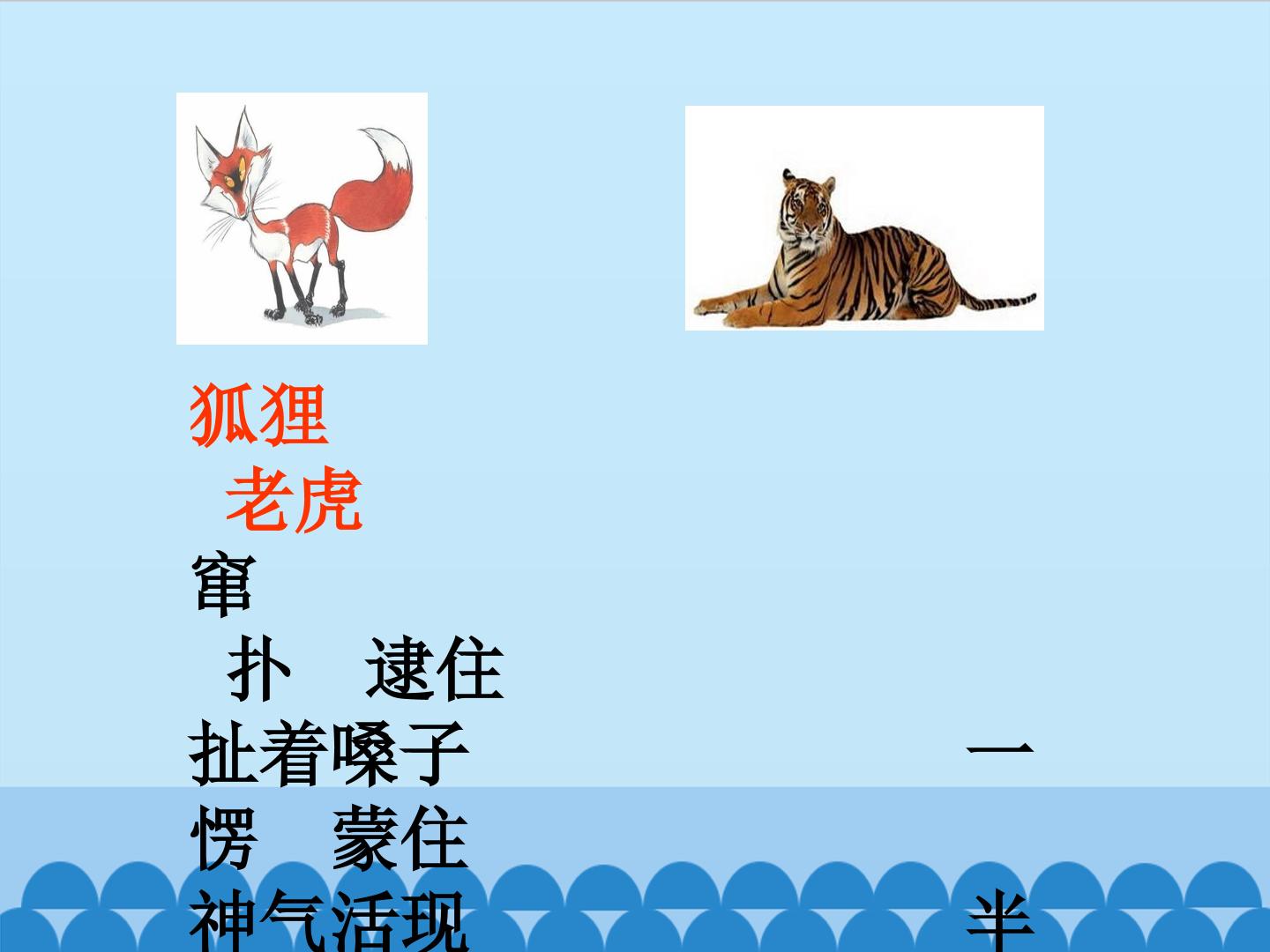19.jpg