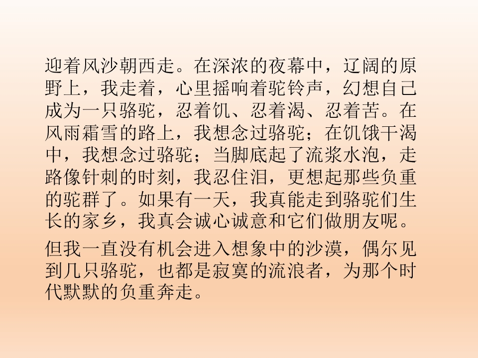 48.jpg
