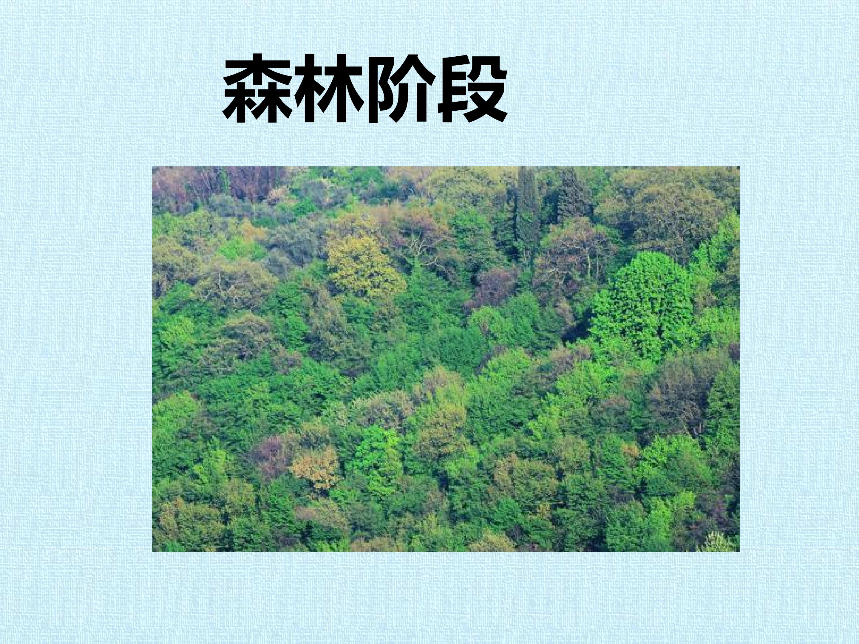 114.jpg