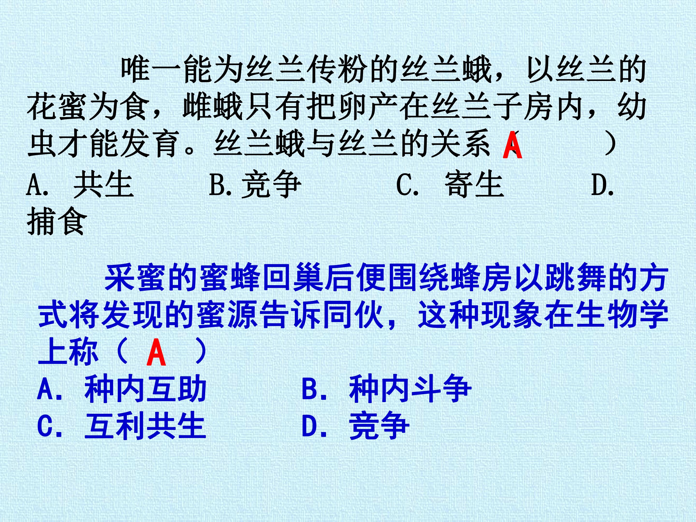 96.jpg