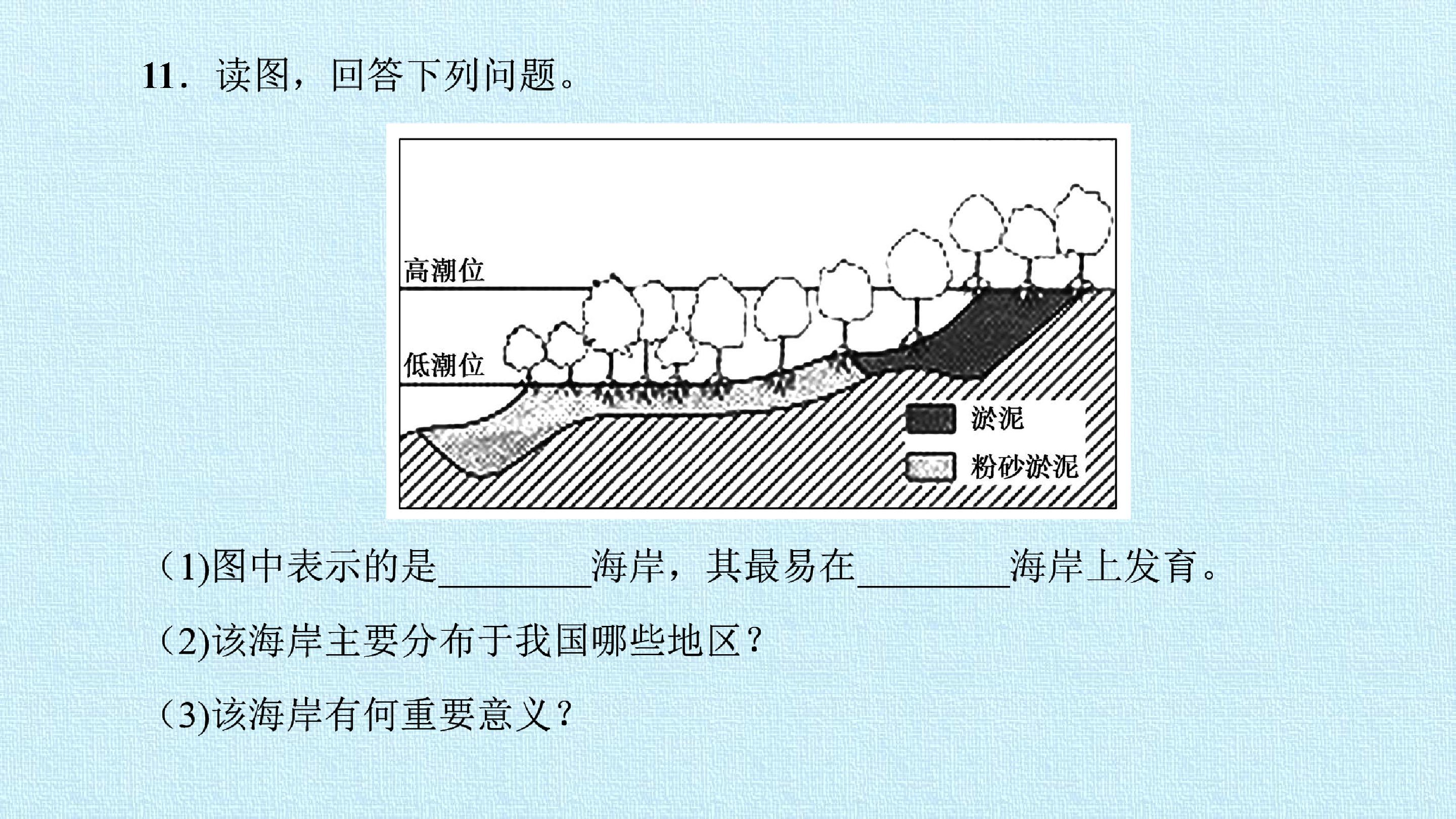 95.jpg