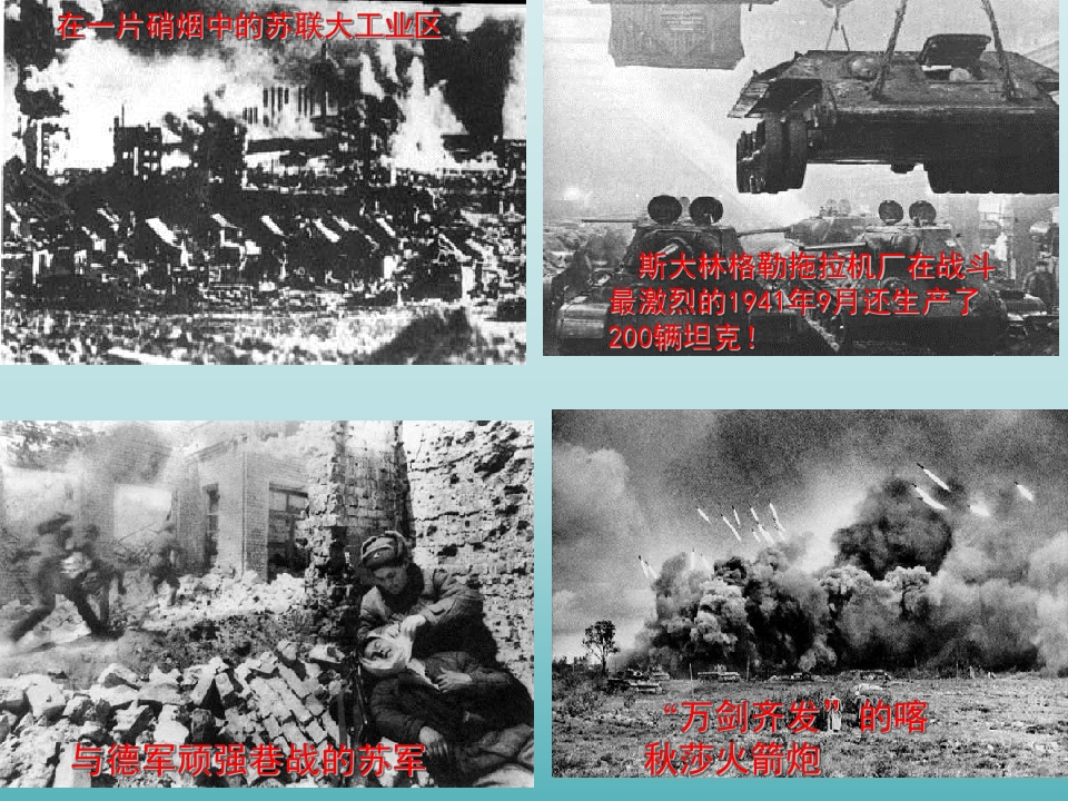 29.jpg