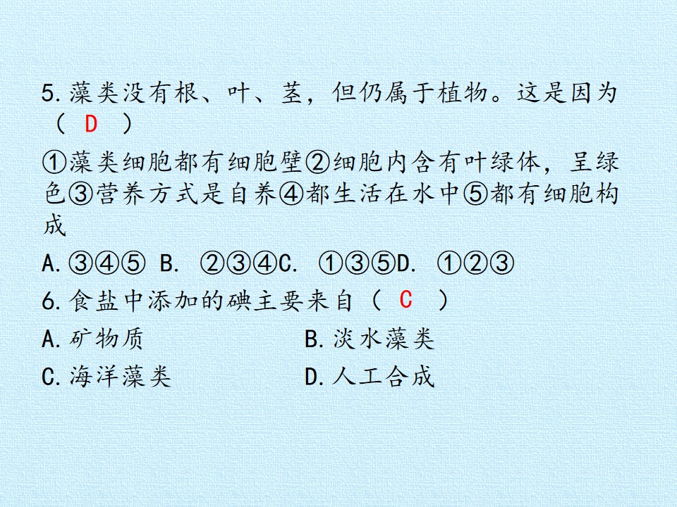 17.jpg
