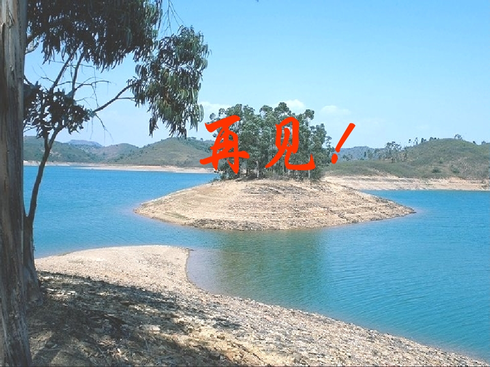 24.jpg