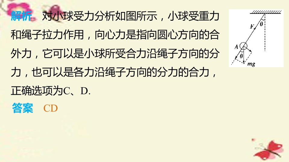 41.jpg