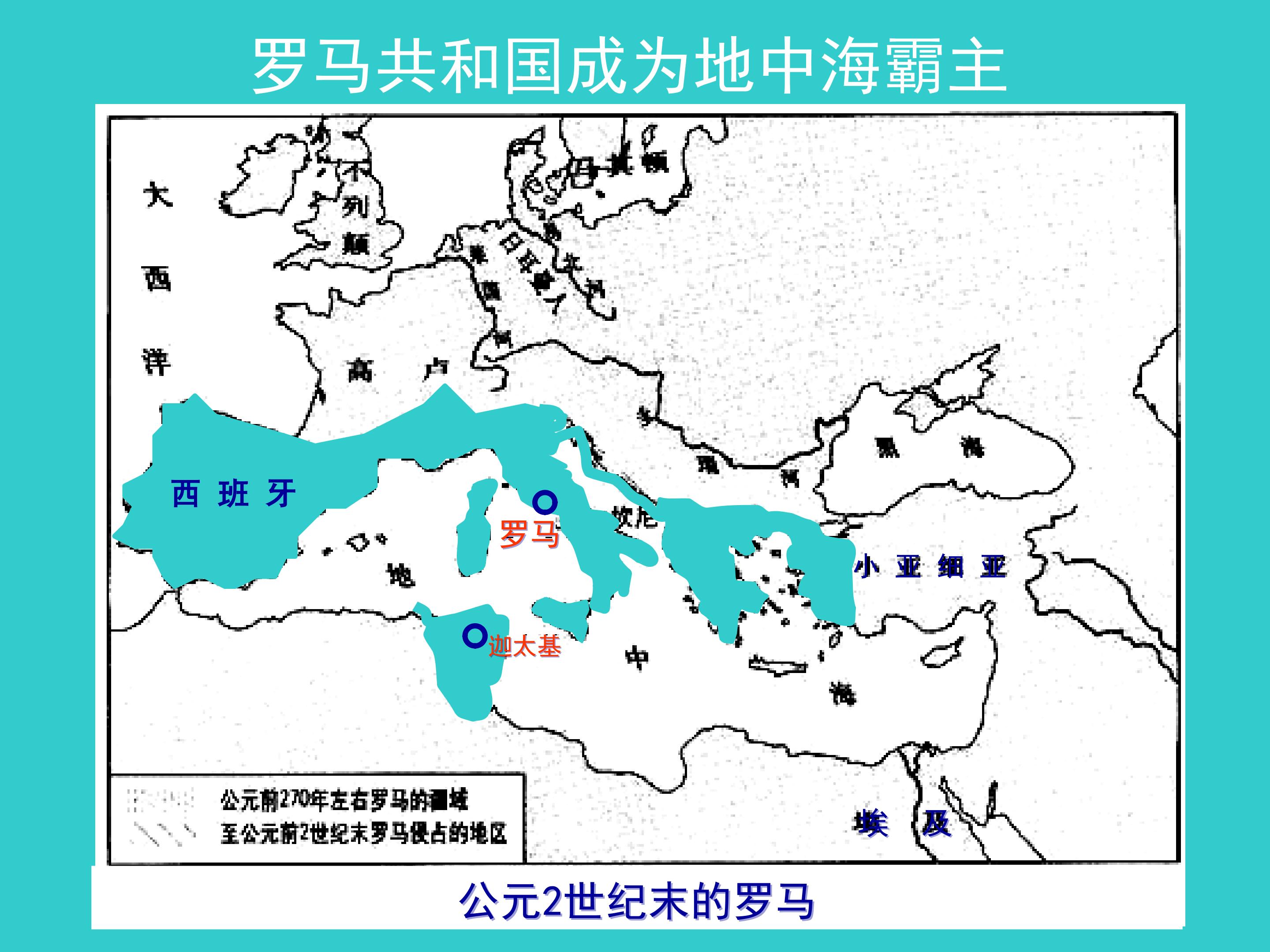 13.jpg