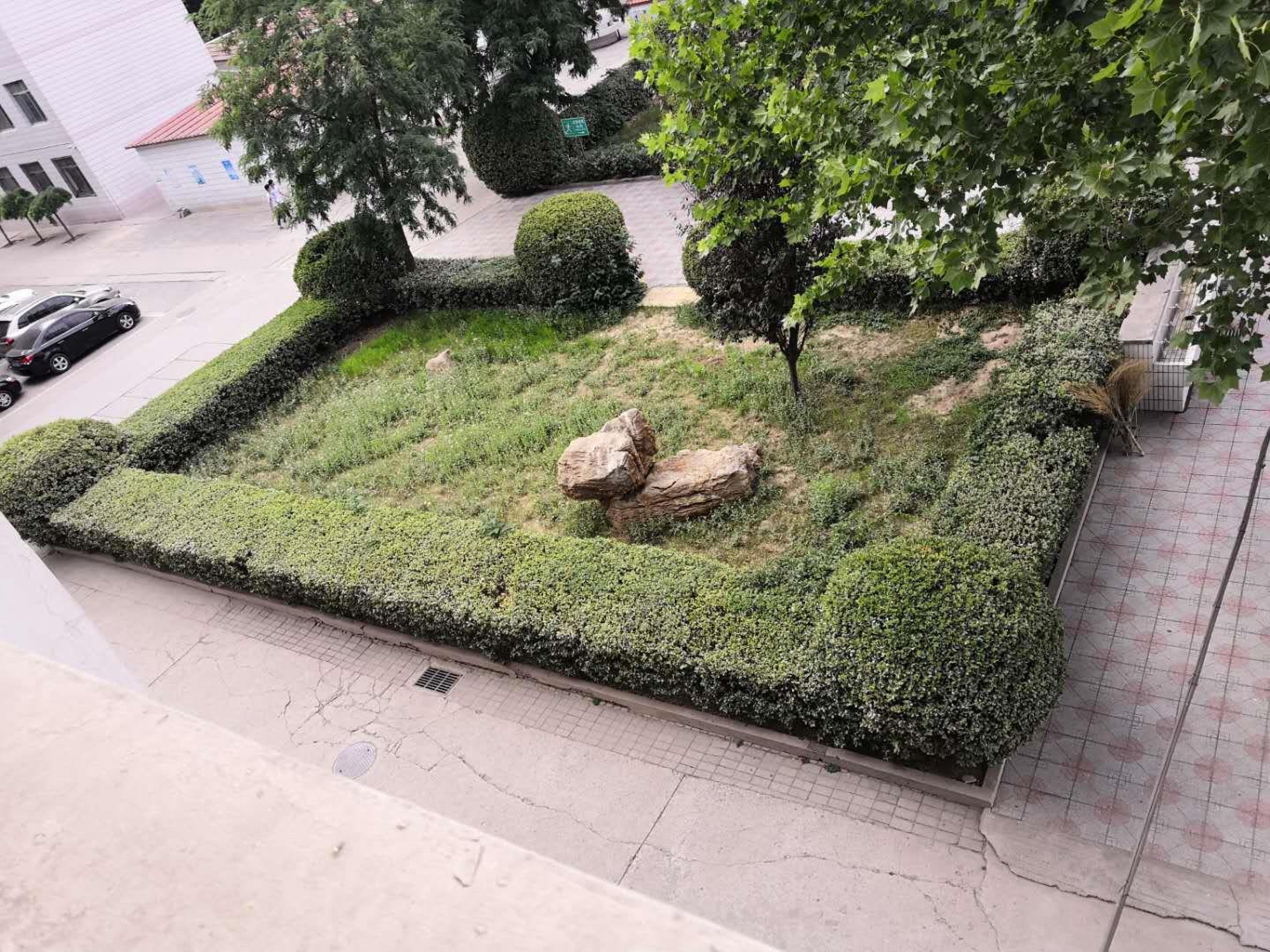 32.jpg