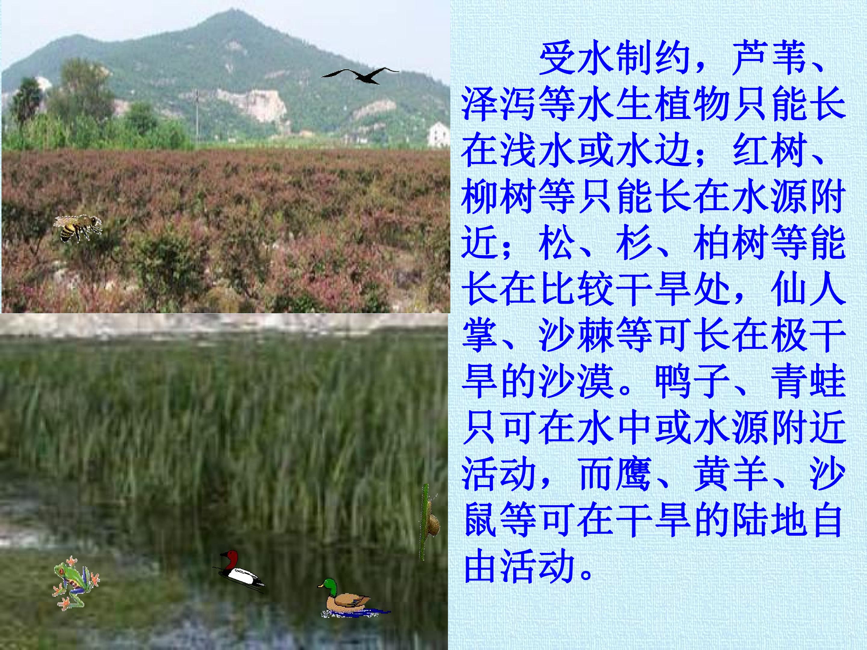 104.jpg