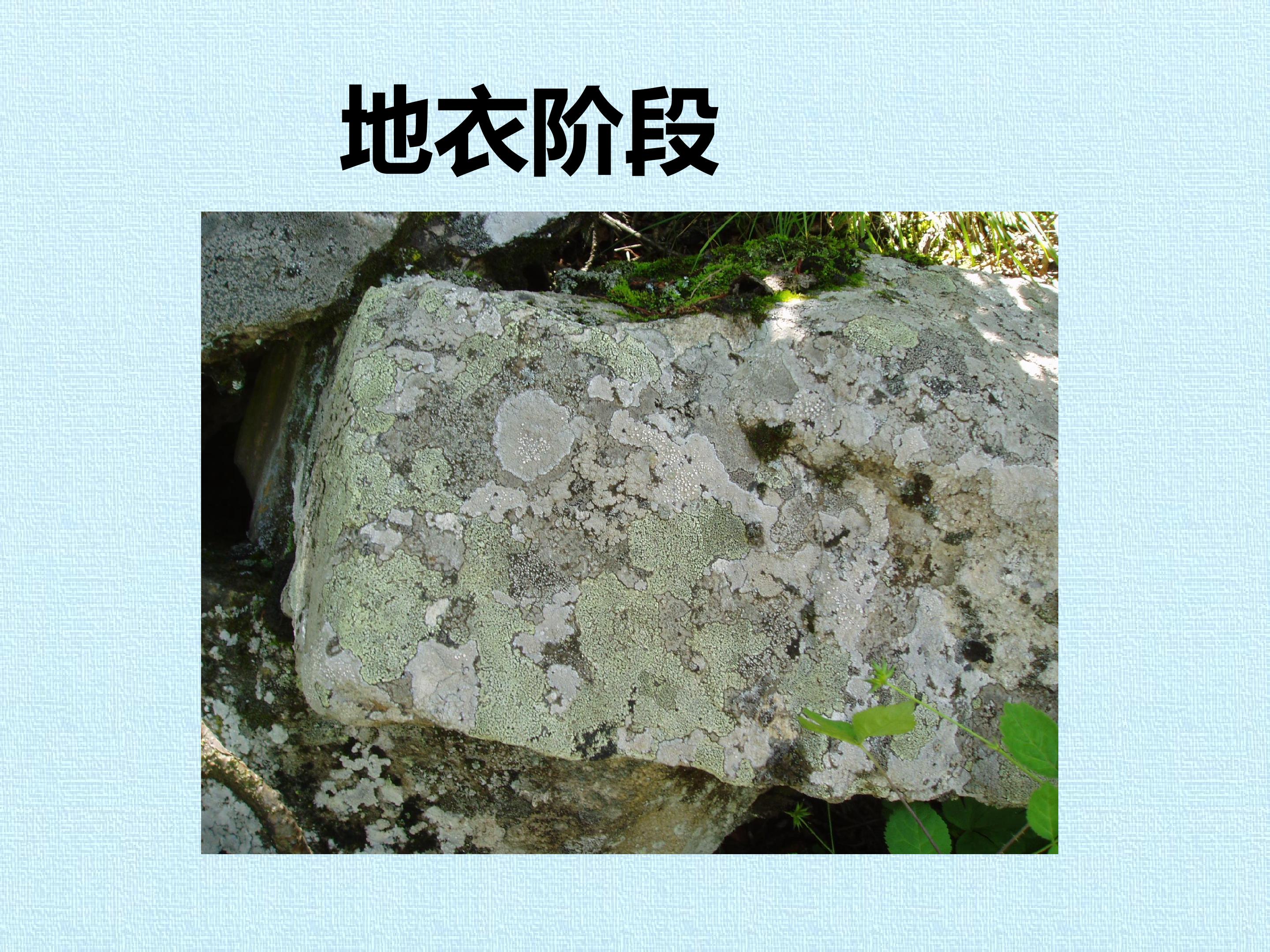 110.jpg