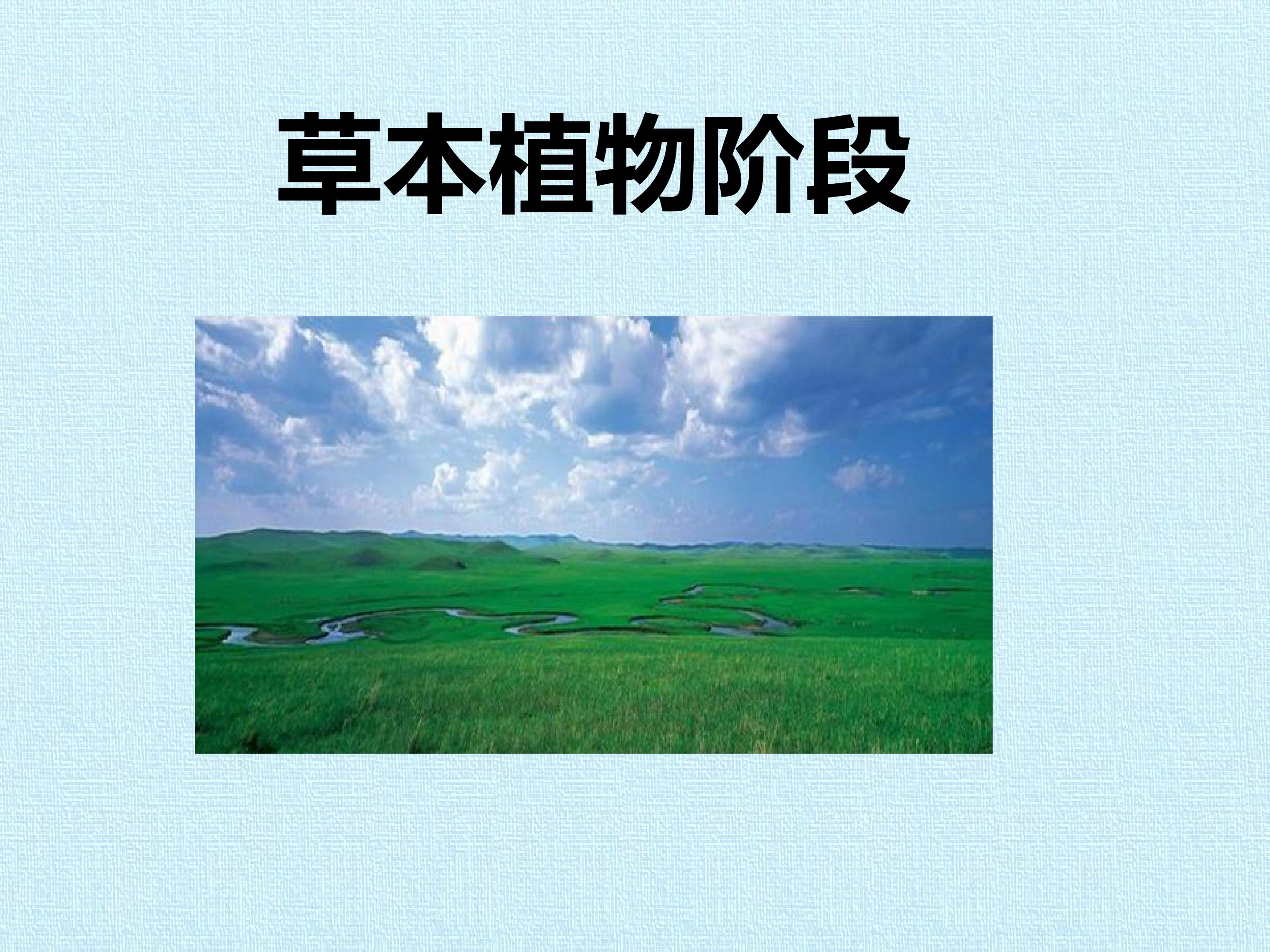 112.jpg