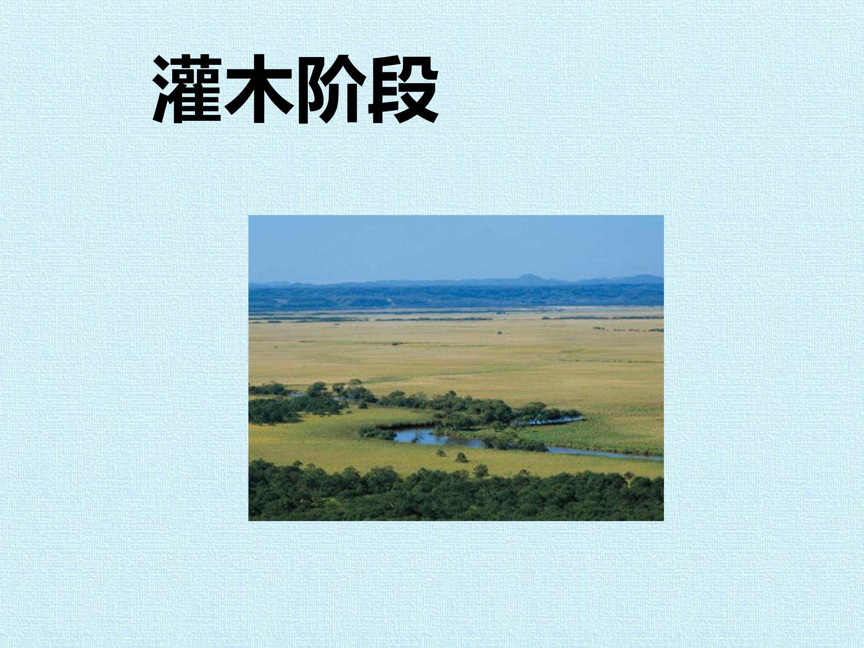 113.jpg