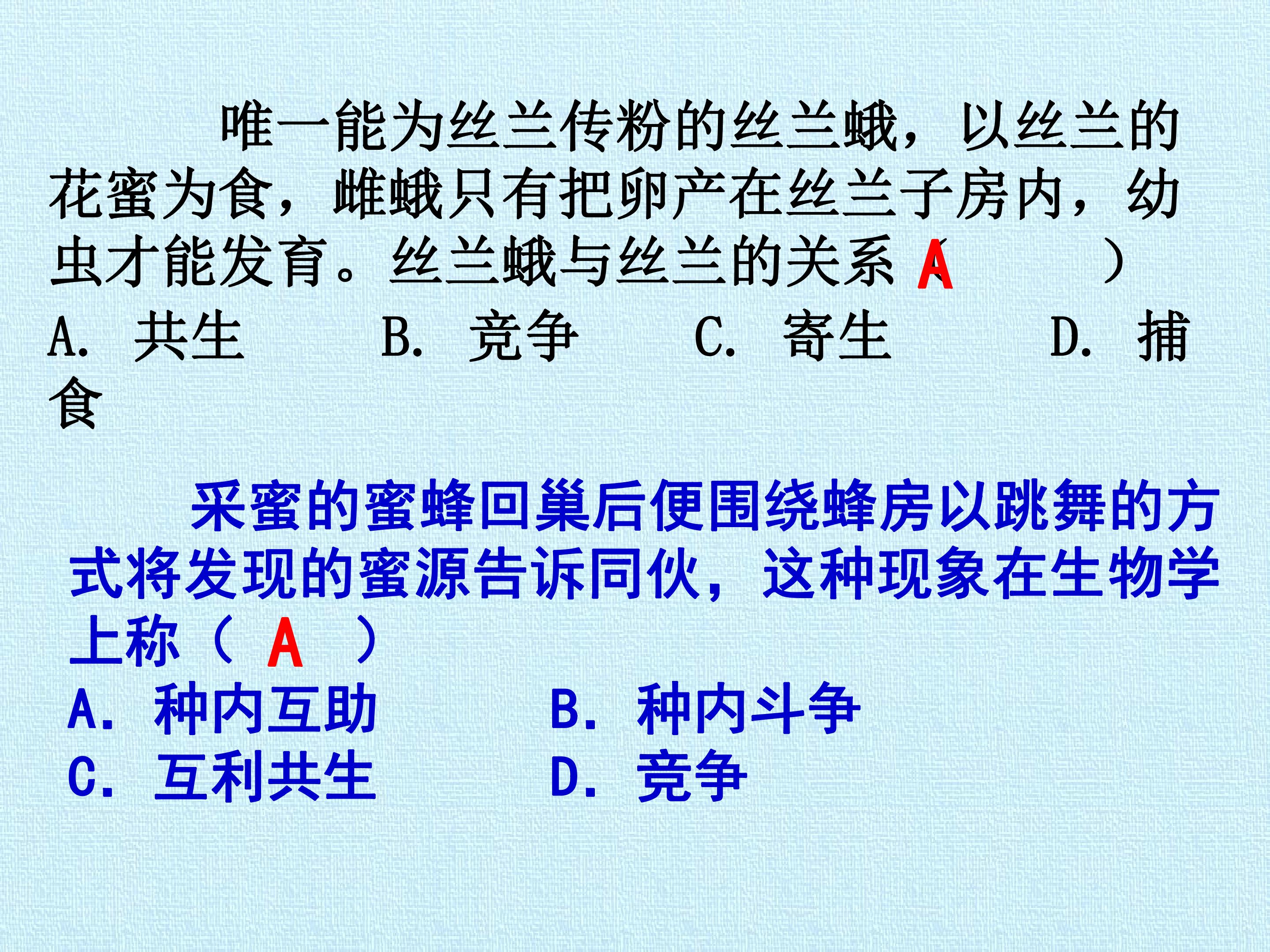 96.jpg