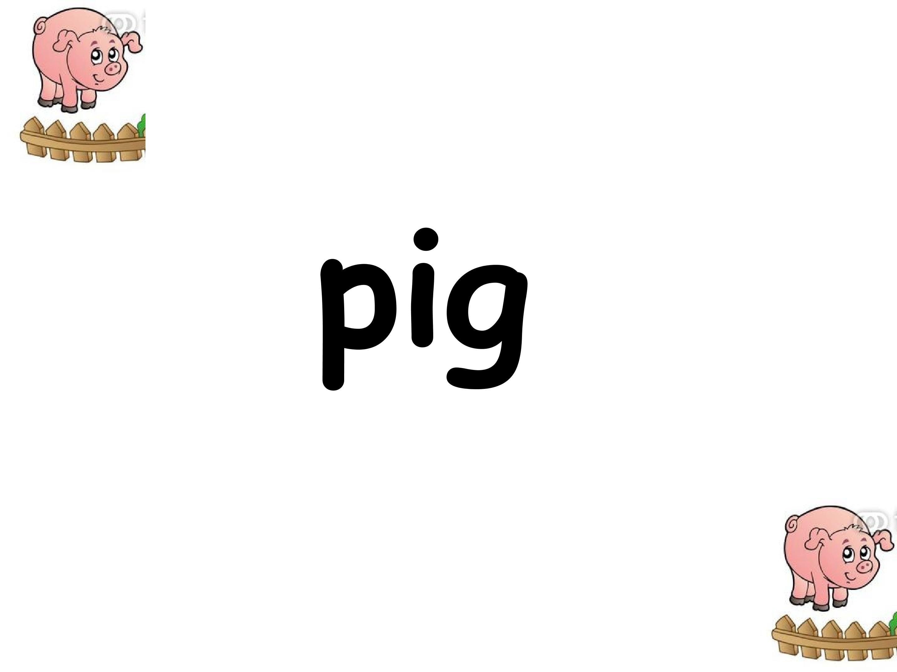 34.jpg