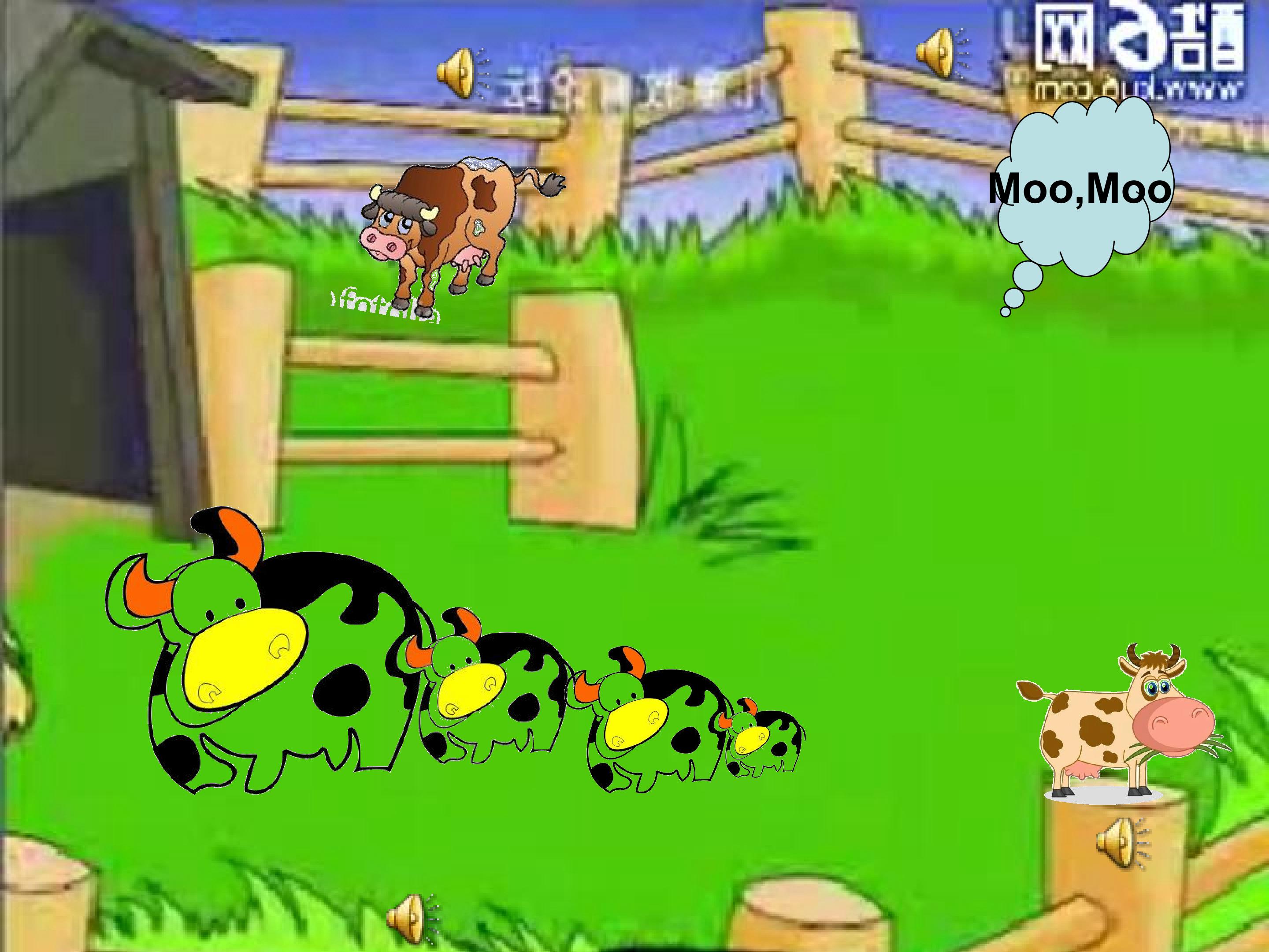 53.jpg