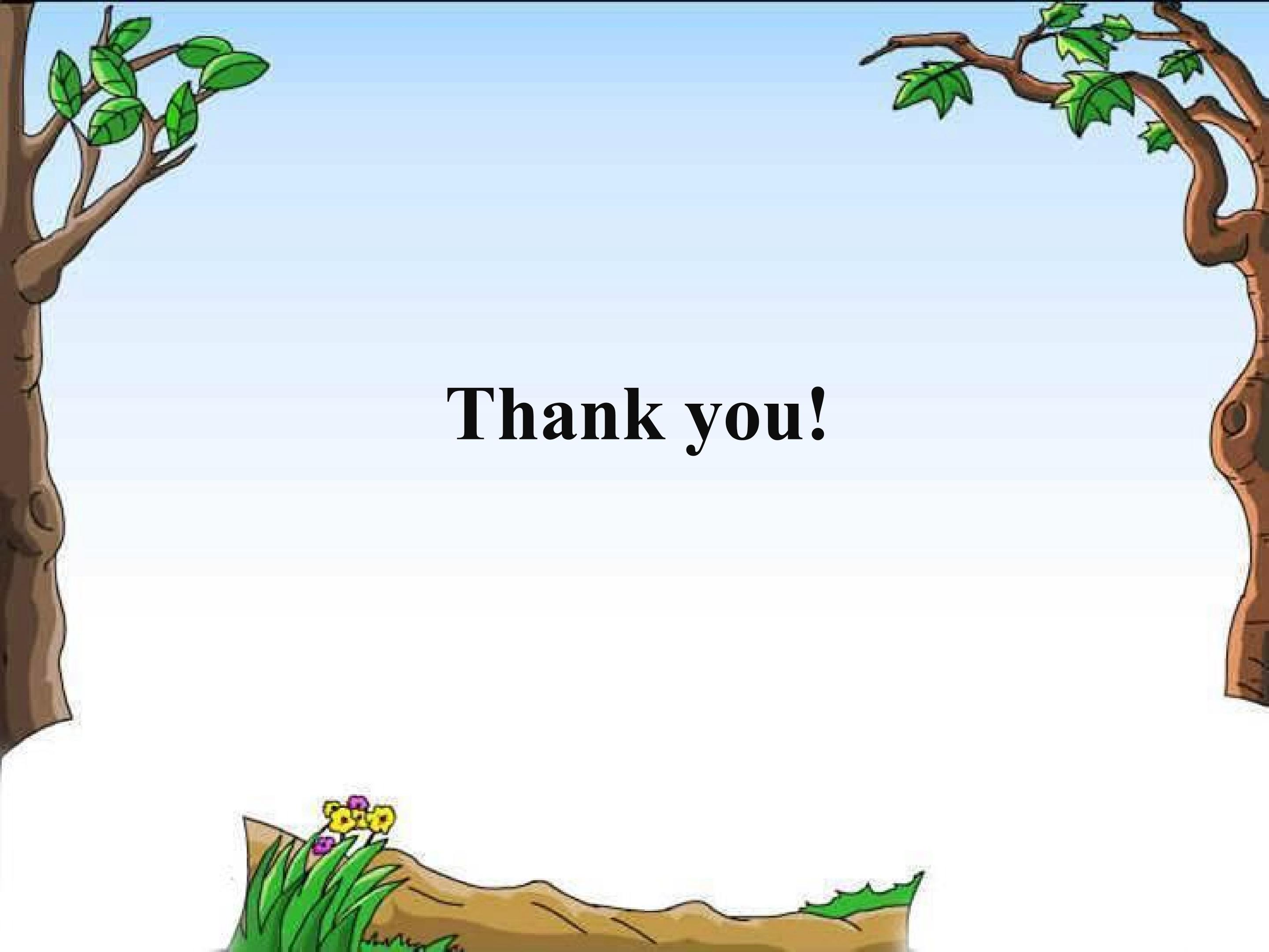 17.jpg