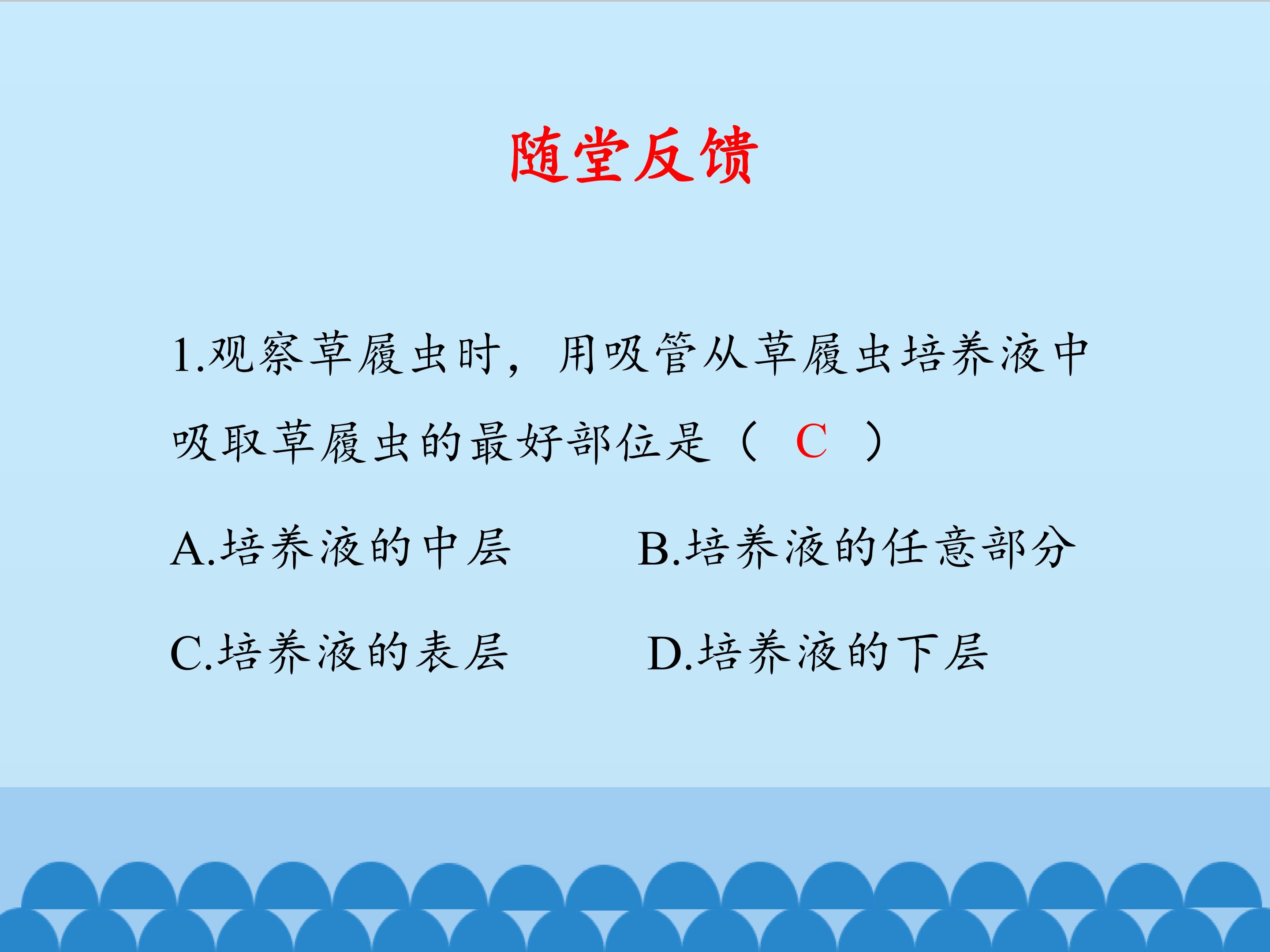 25.jpg