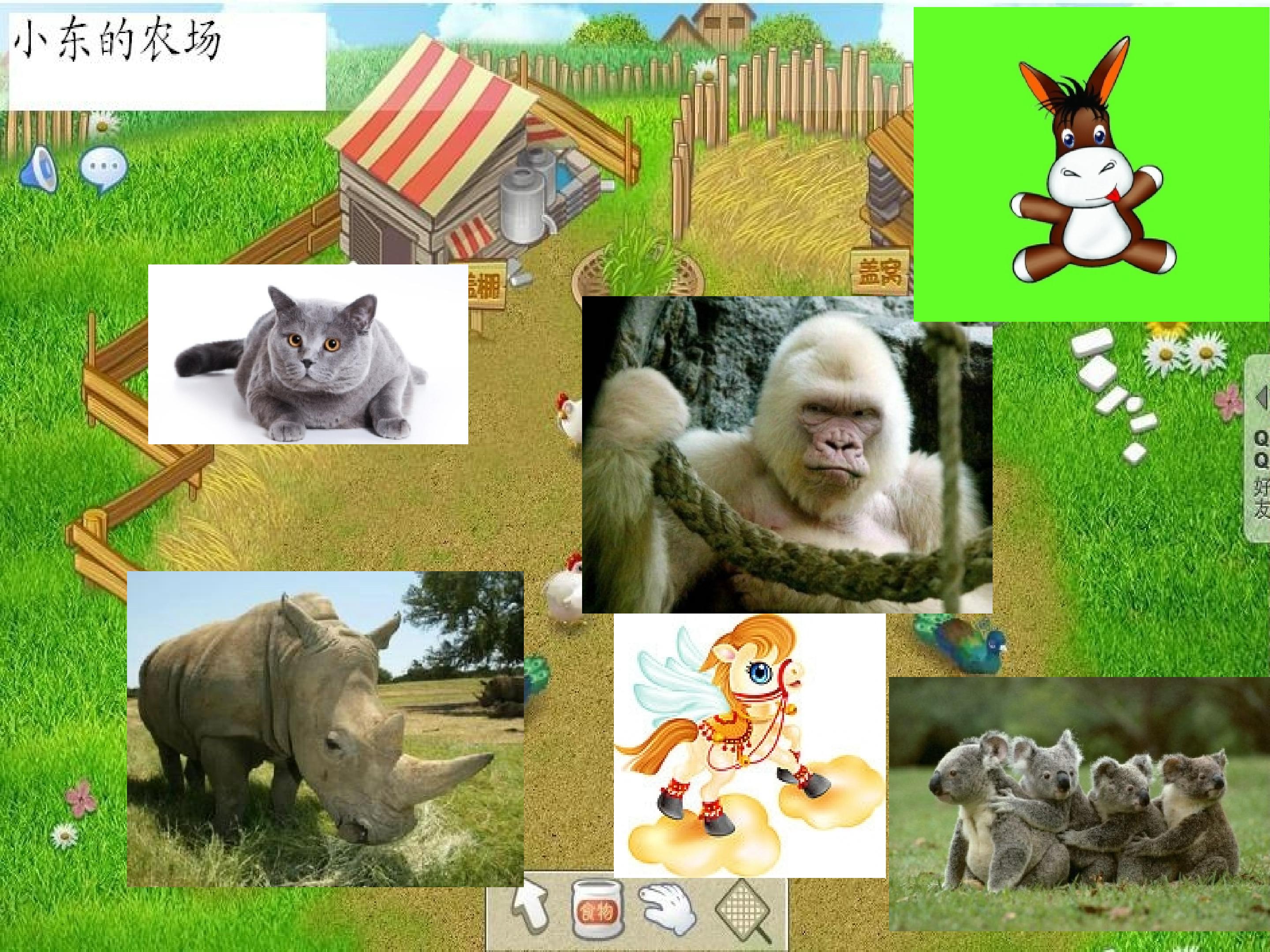 2.jpg