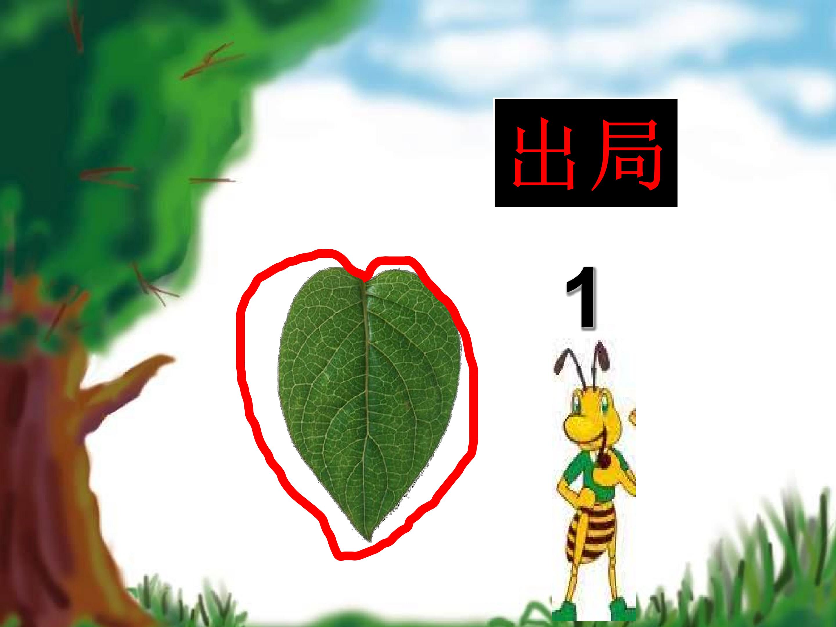 3.jpg