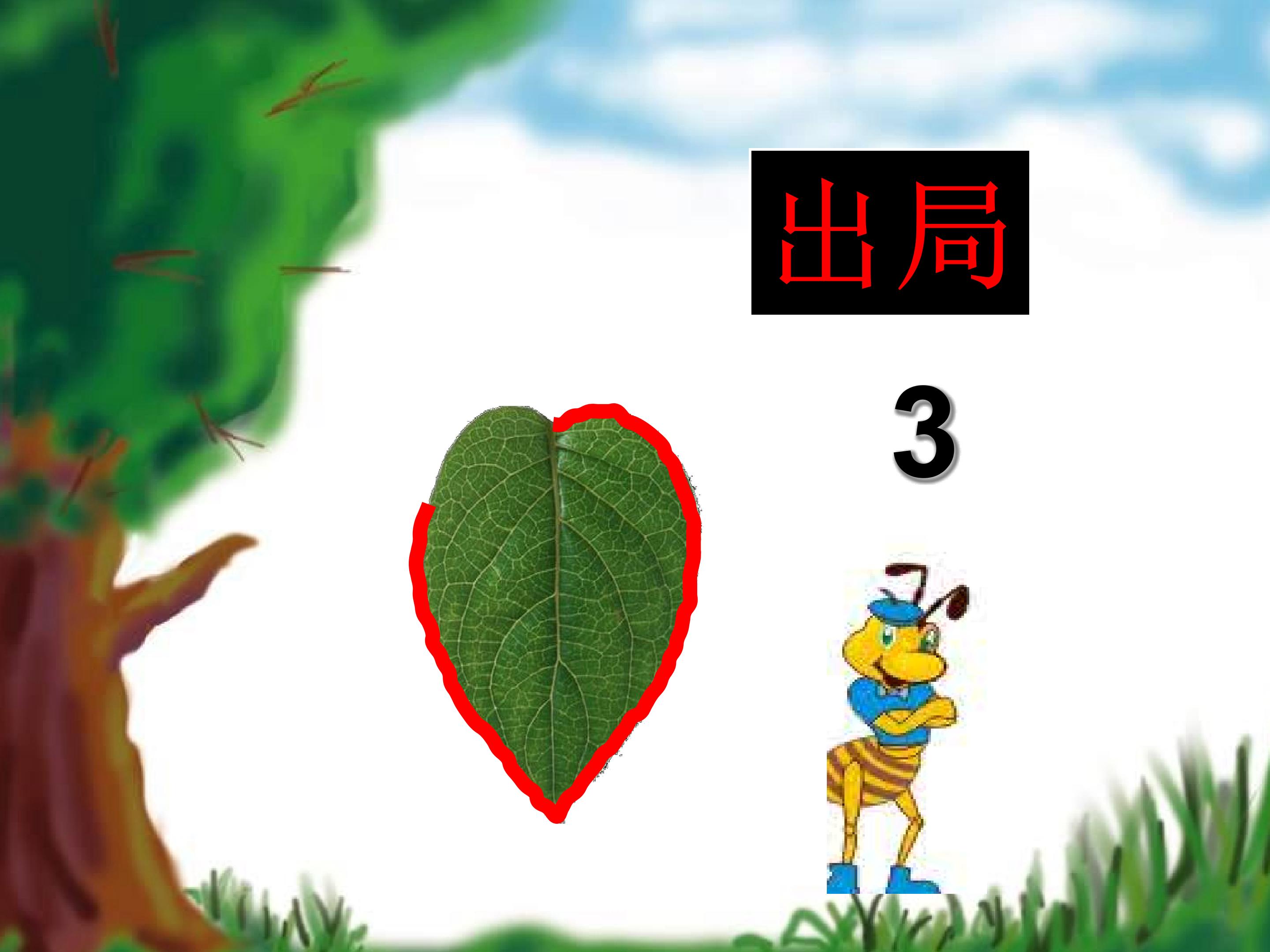 5.jpg
