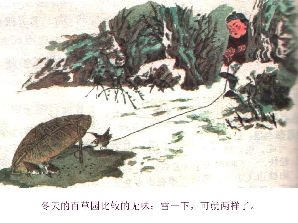 15.jpg