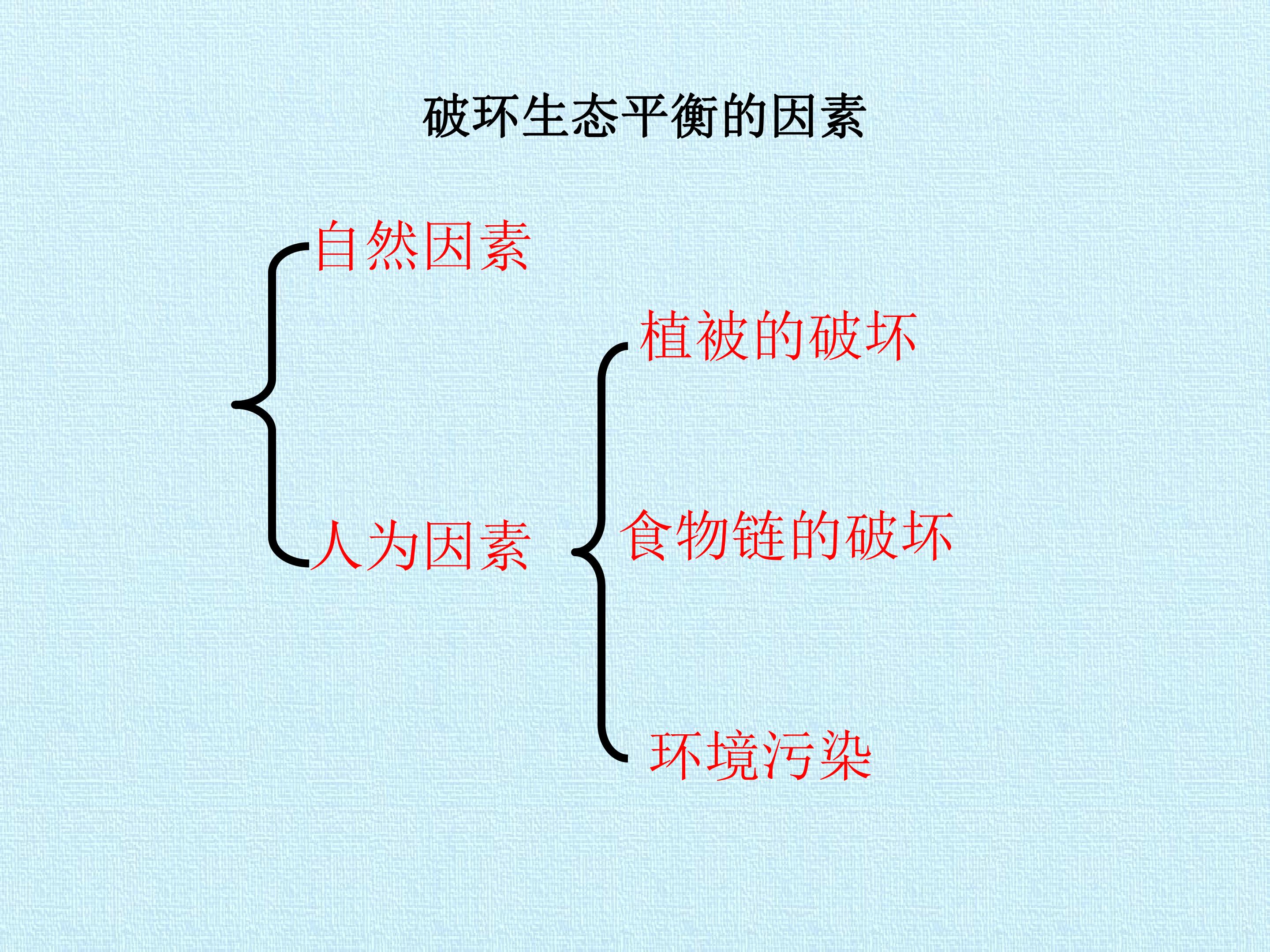 65.jpg