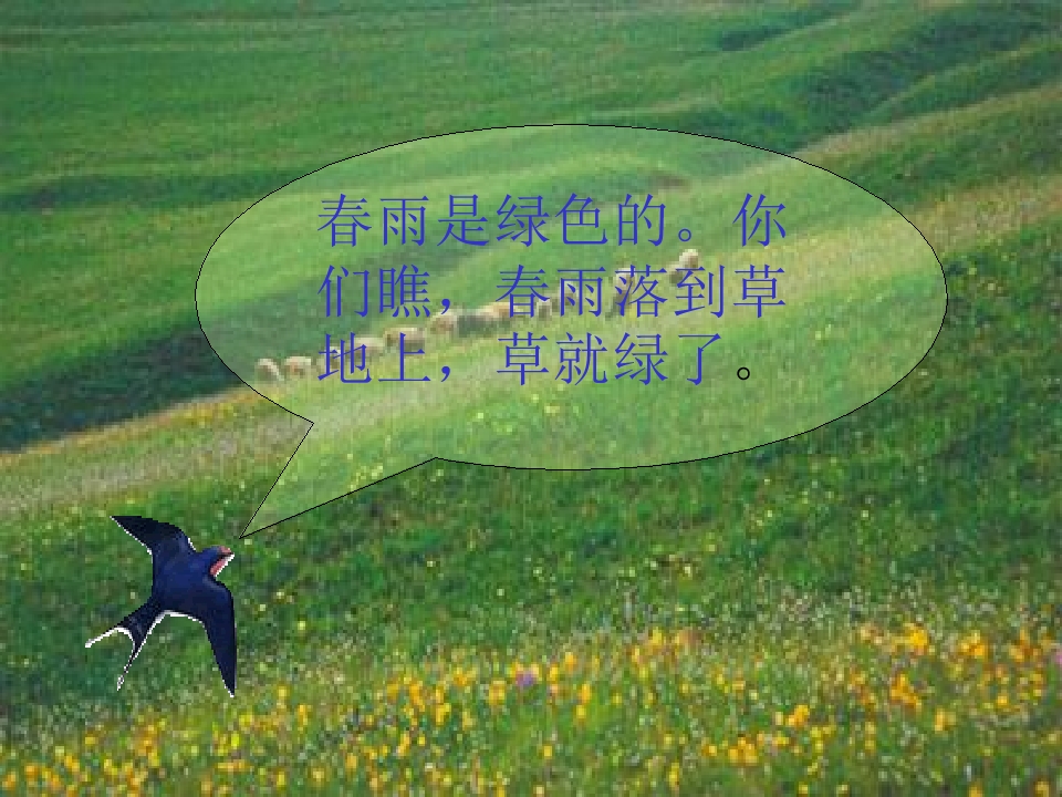 21.jpg