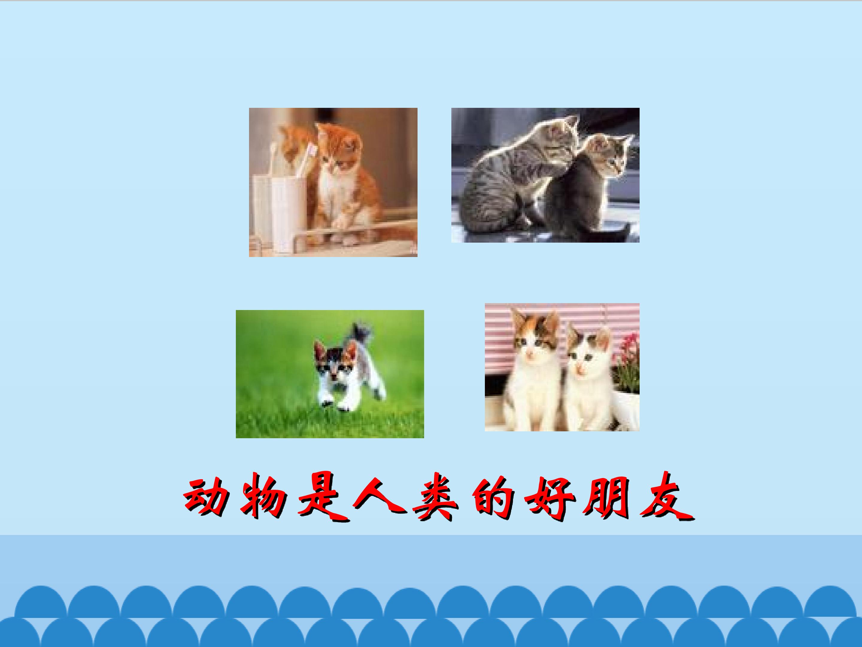 24.jpg