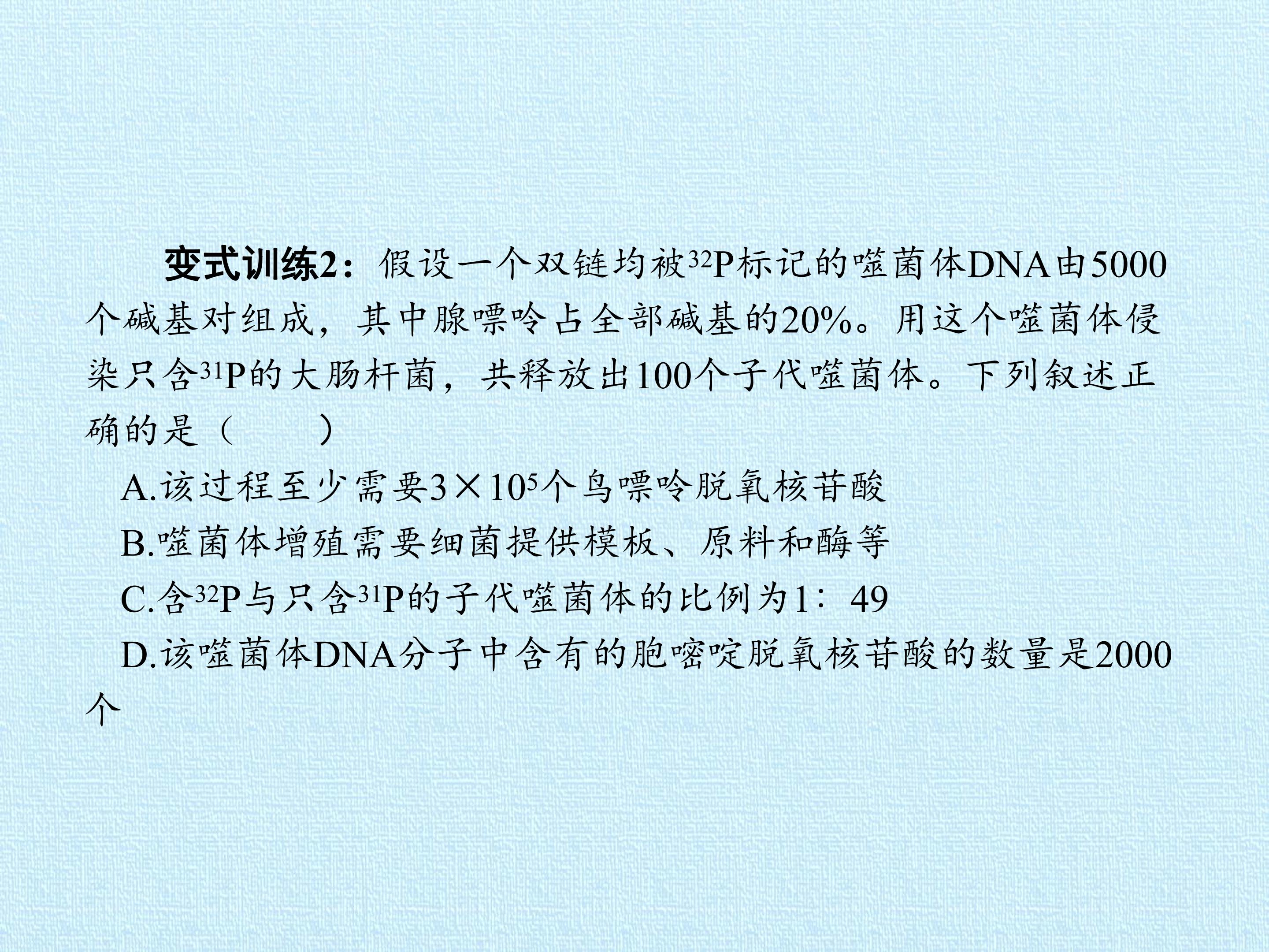 63.jpg