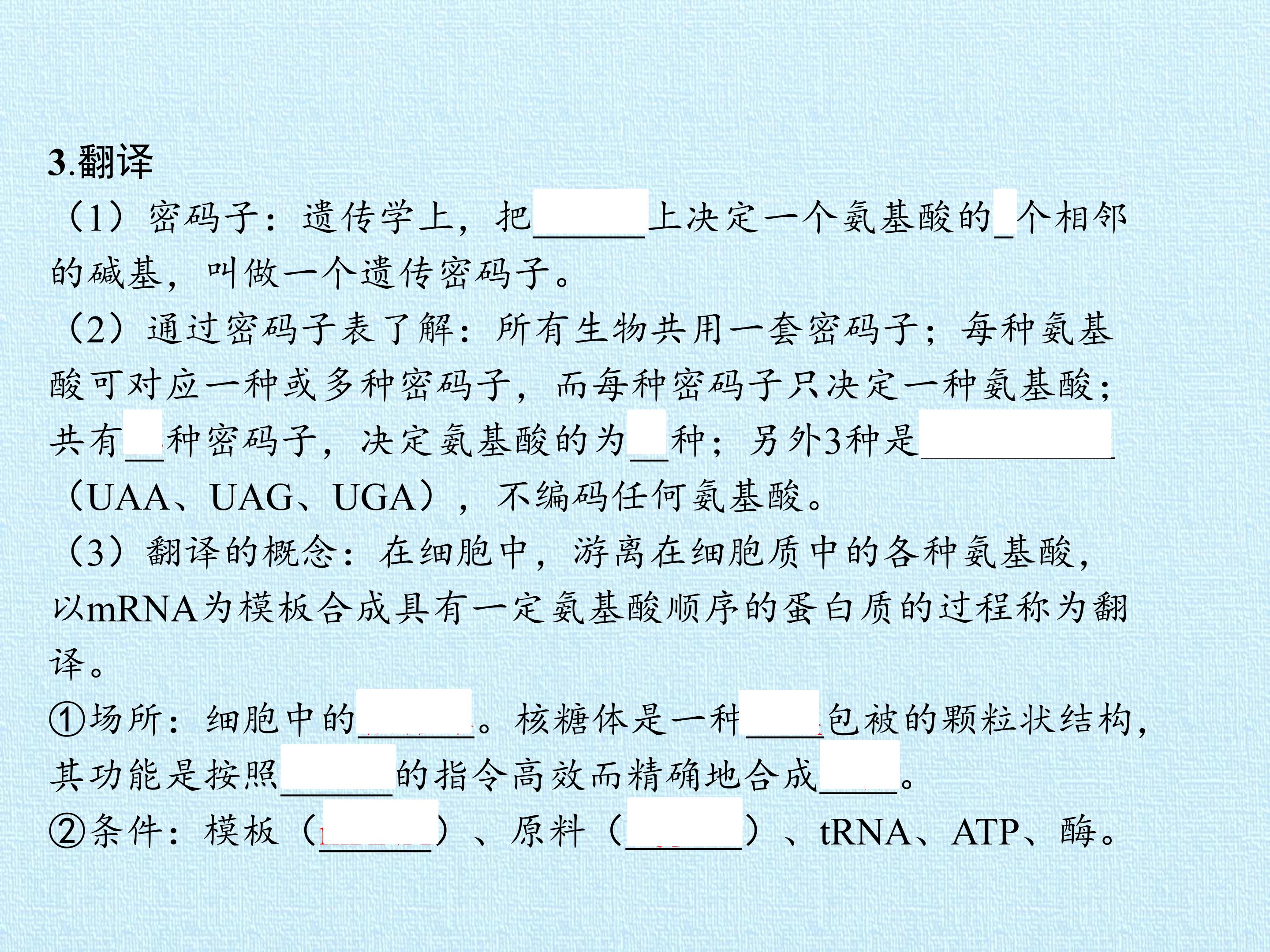 78.jpg