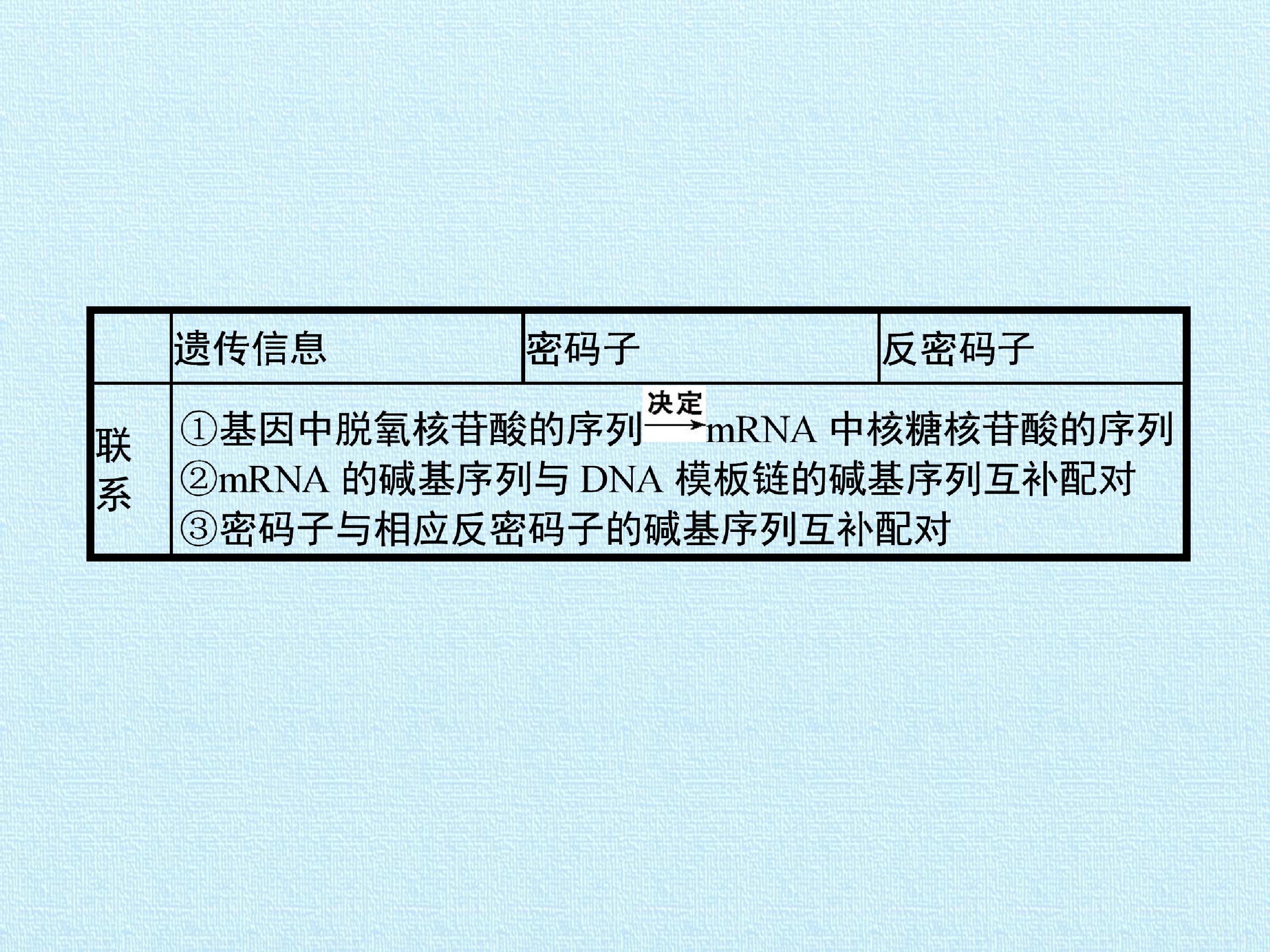95.jpg