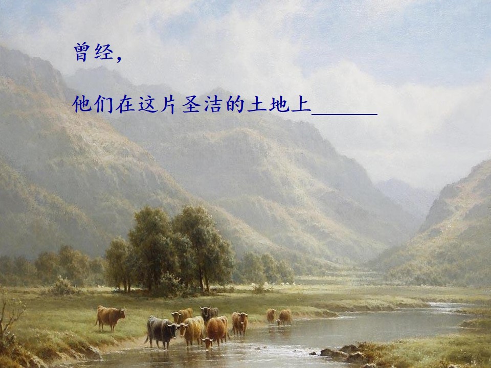 29.jpg