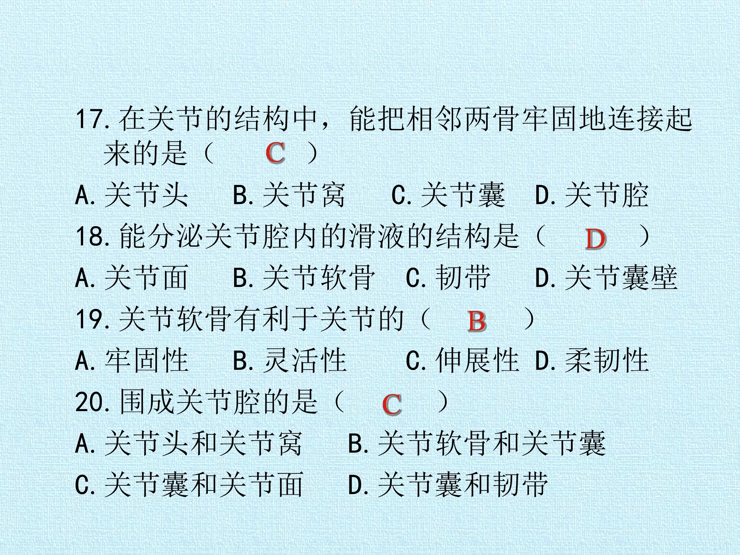 41.jpg