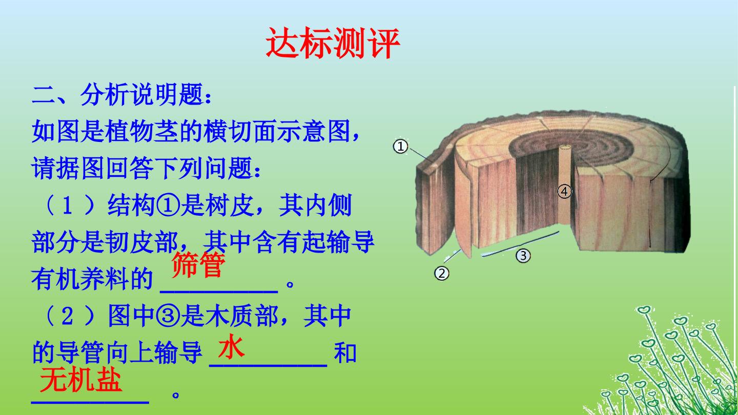 18.jpg