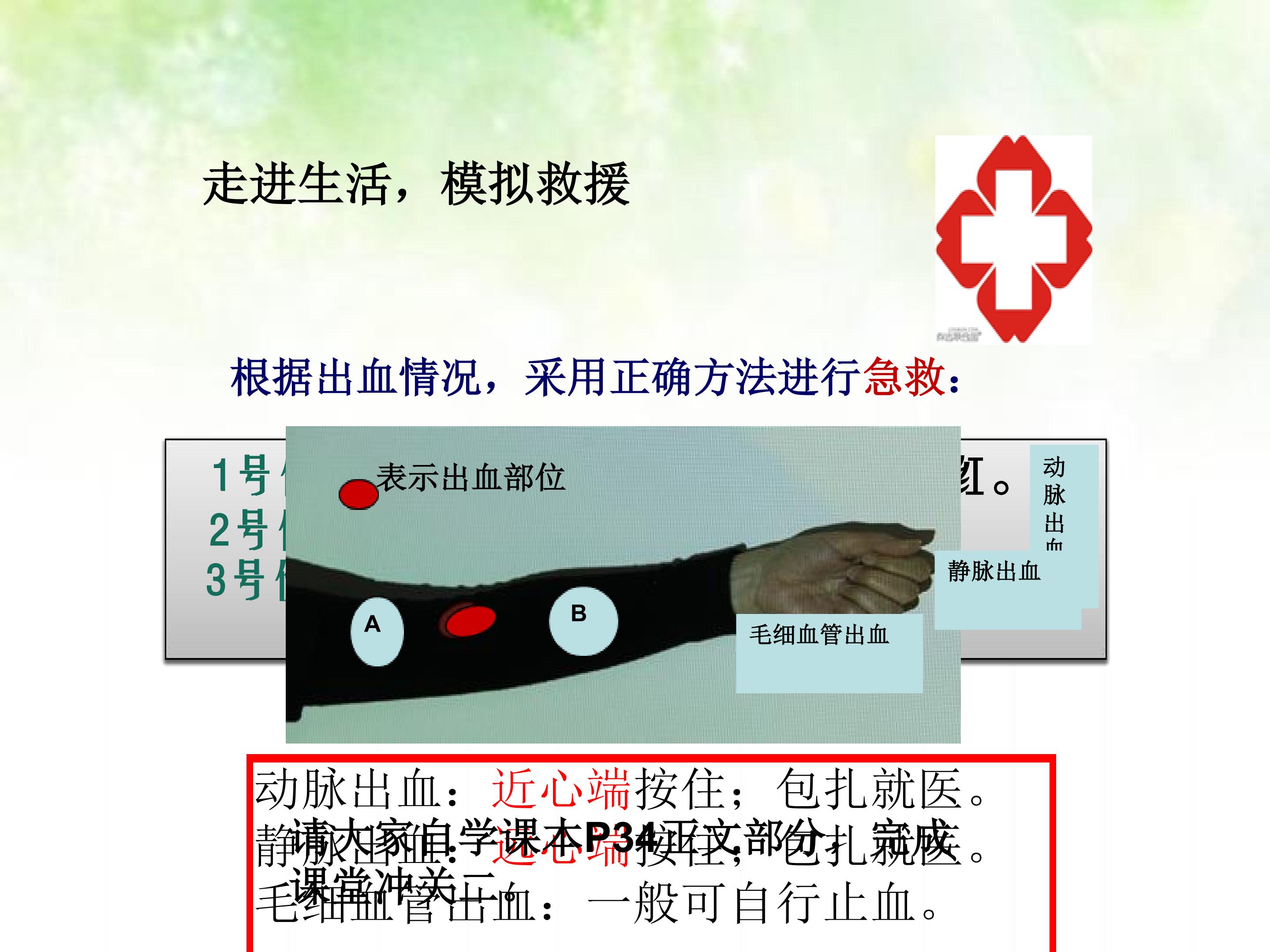 26.jpg