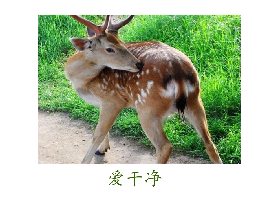 10.jpg
