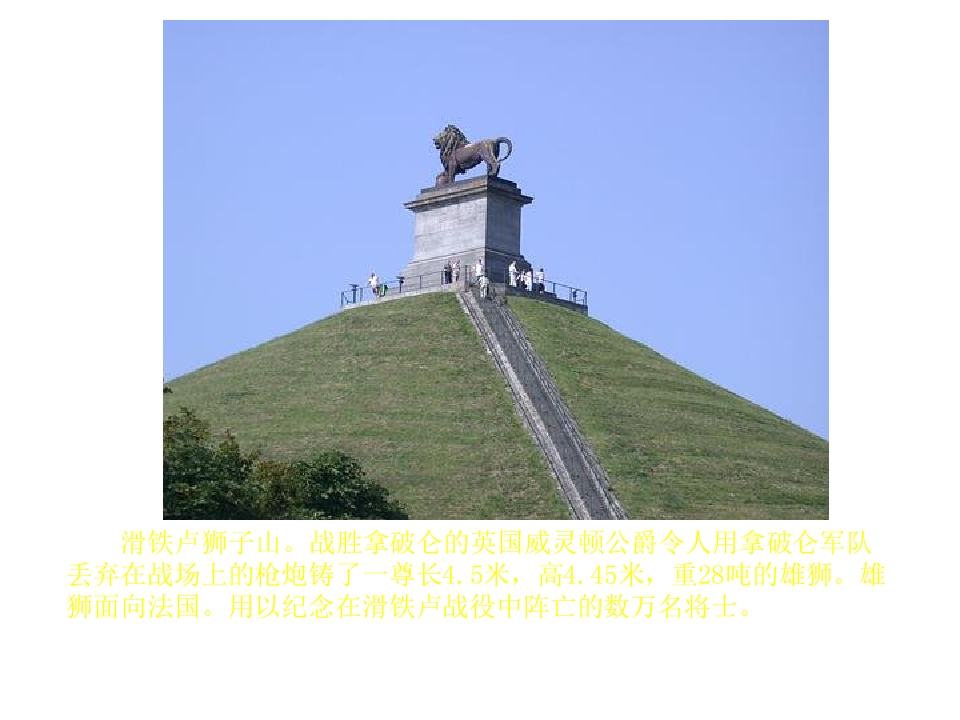 21.jpg