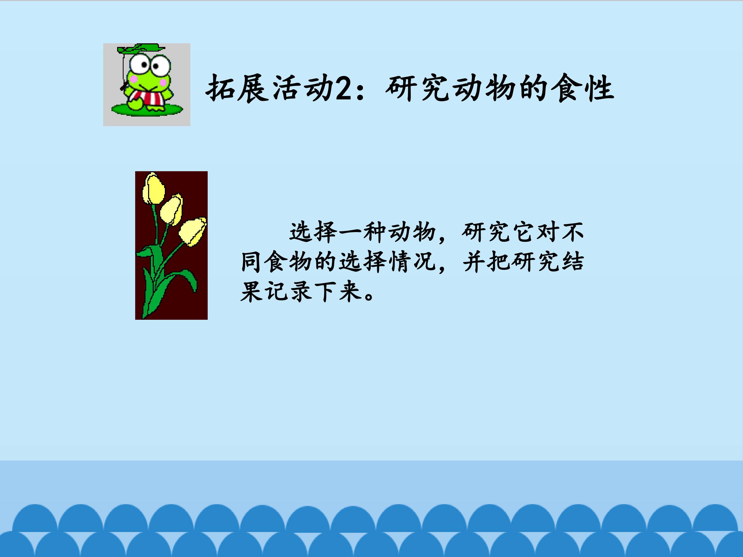 16.jpg